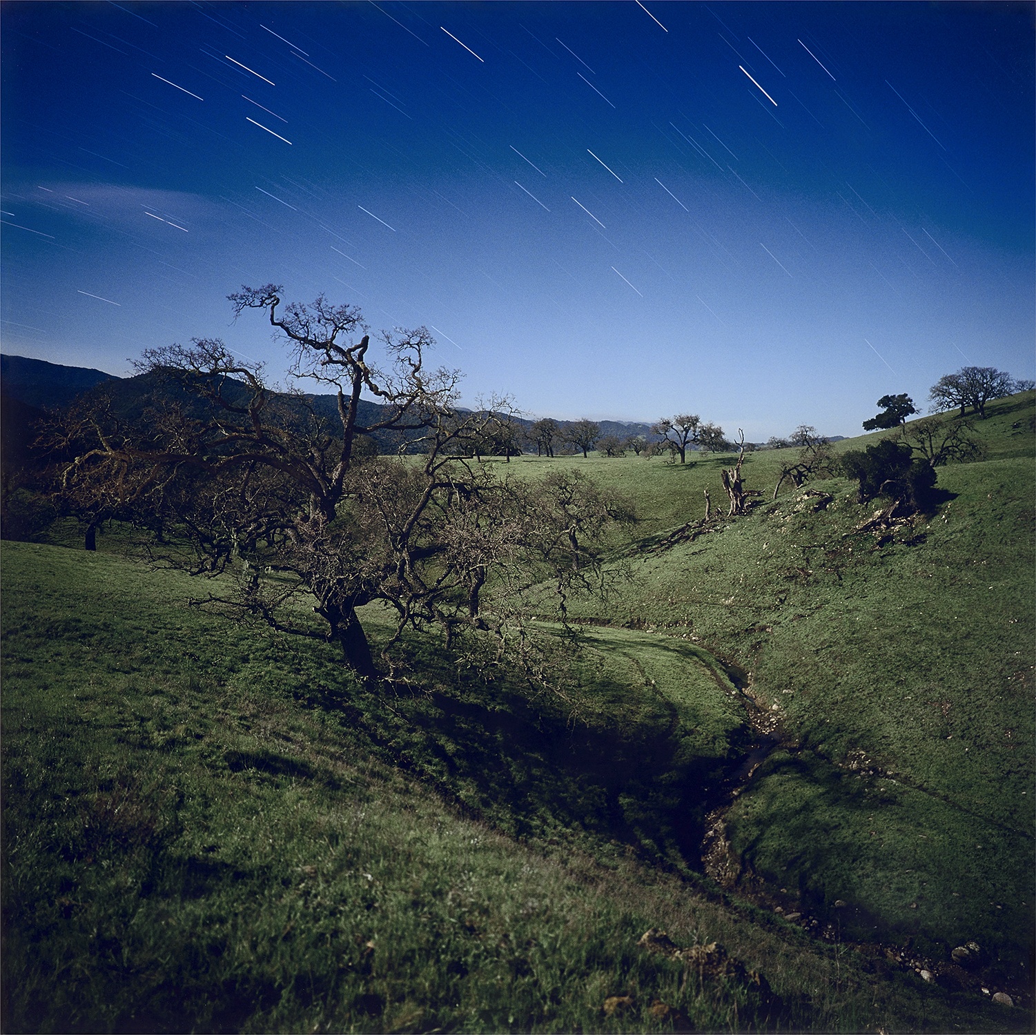 Darren Almond — Fullmoon@CalifornianOaks