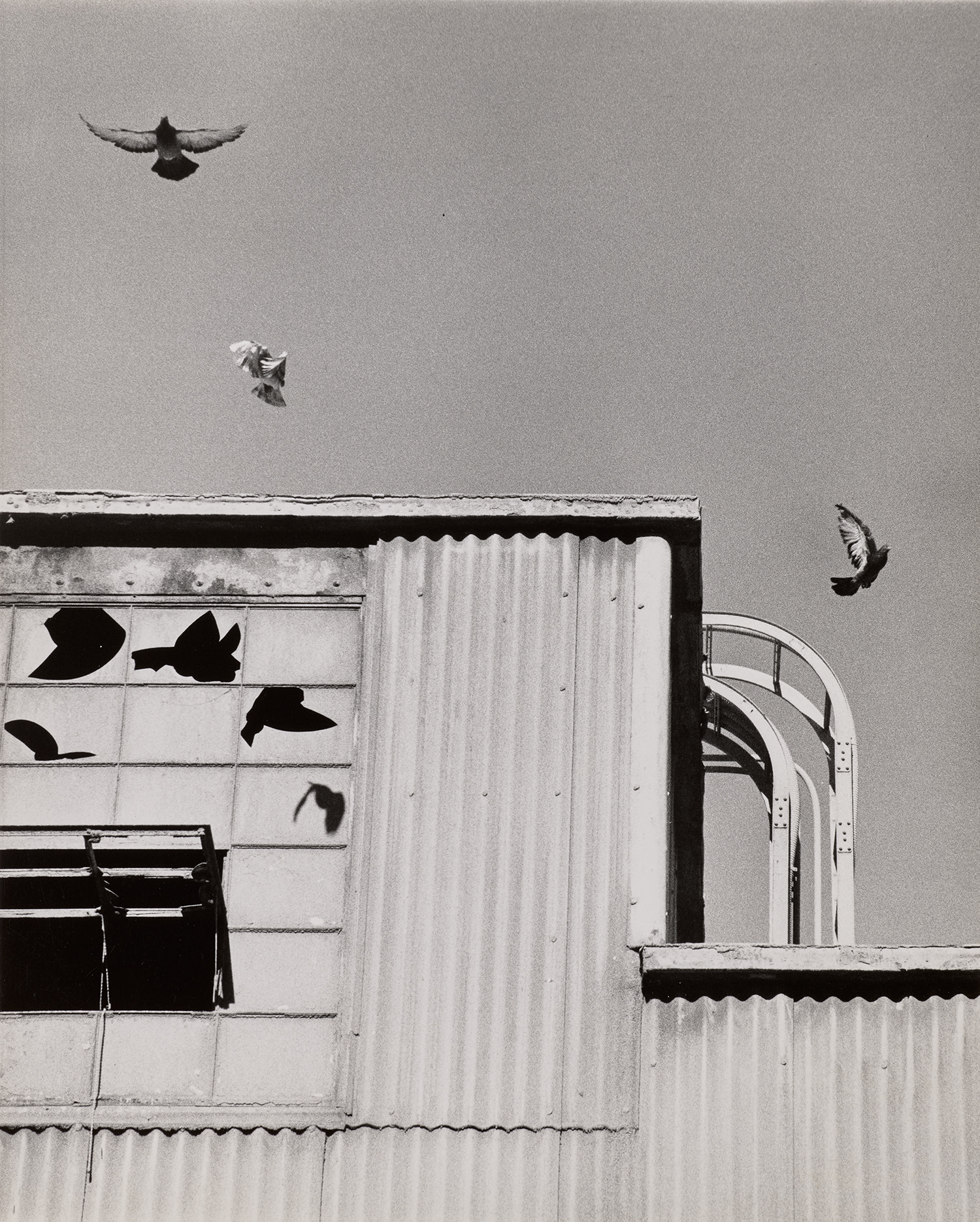 Kenneth Josephson — Illinois