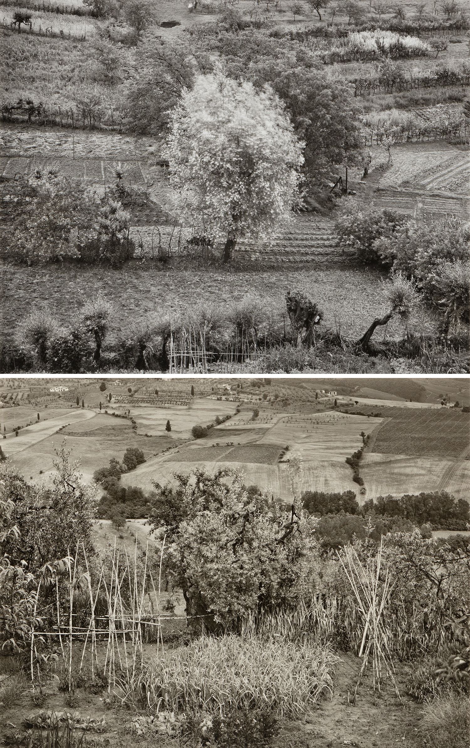 Garden, Siena, Italy; Poggibonzi, Italy