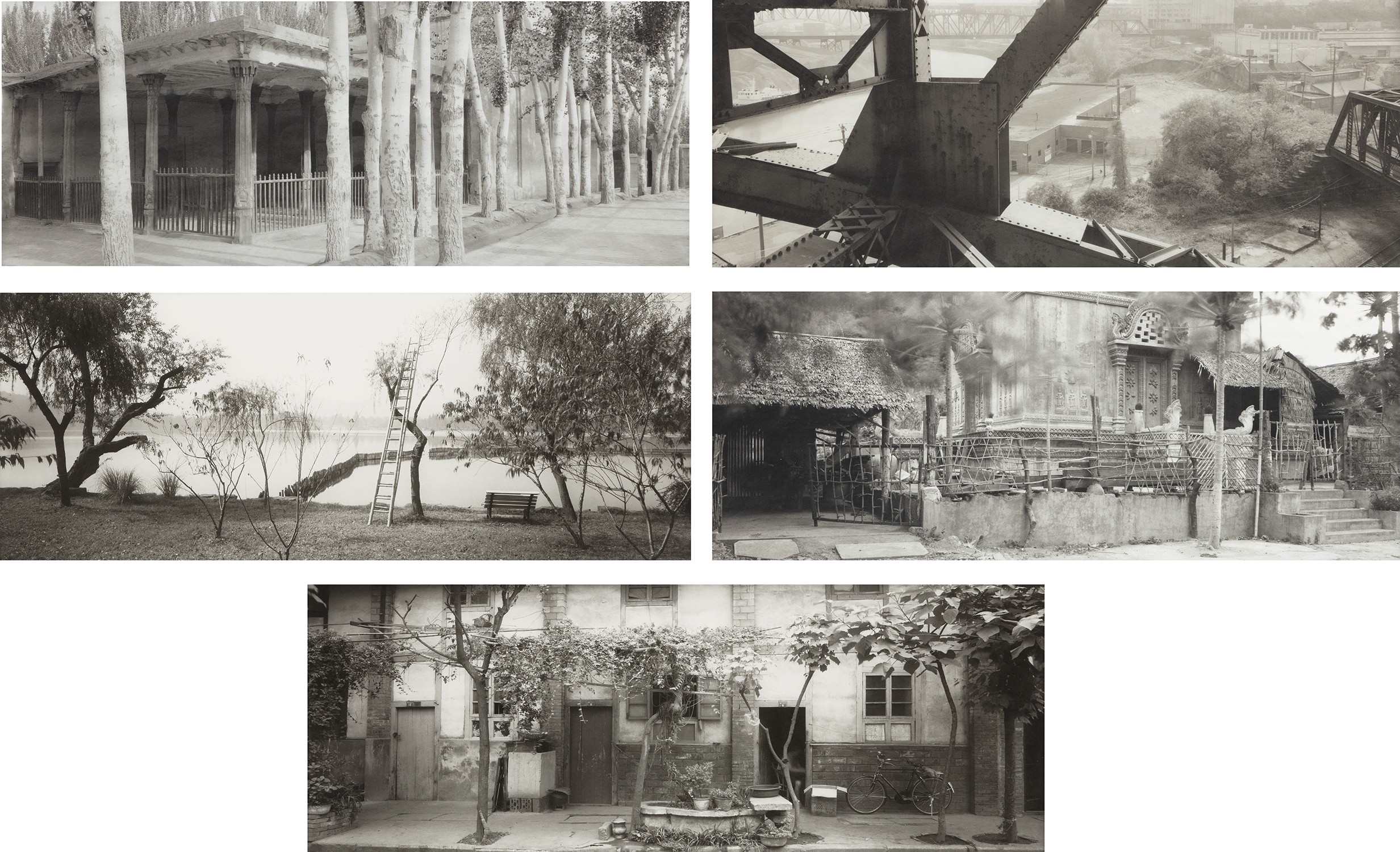 Lois Conner — Selected Images