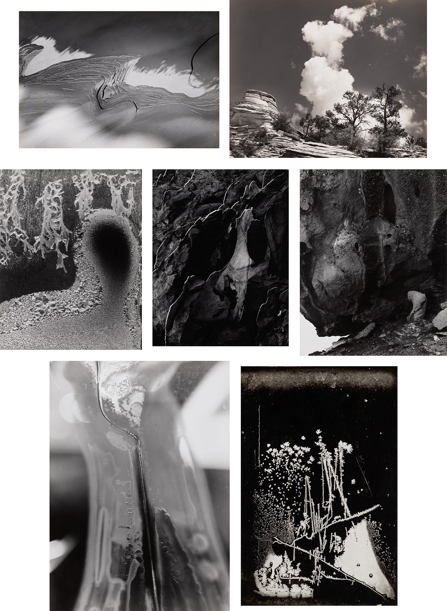 Selected Nature Studies