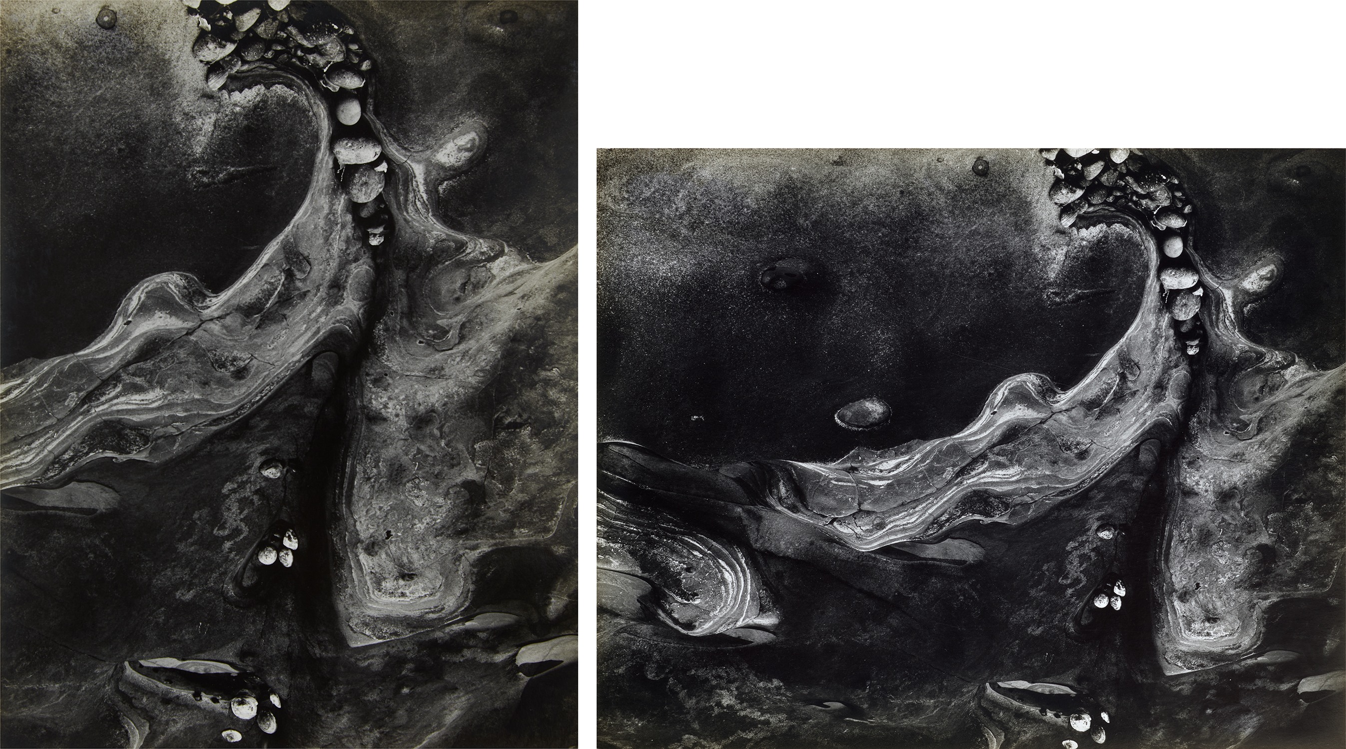 Minor White — Selected Images of Point Lobos