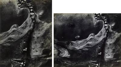 Selected Images of Point Lobos