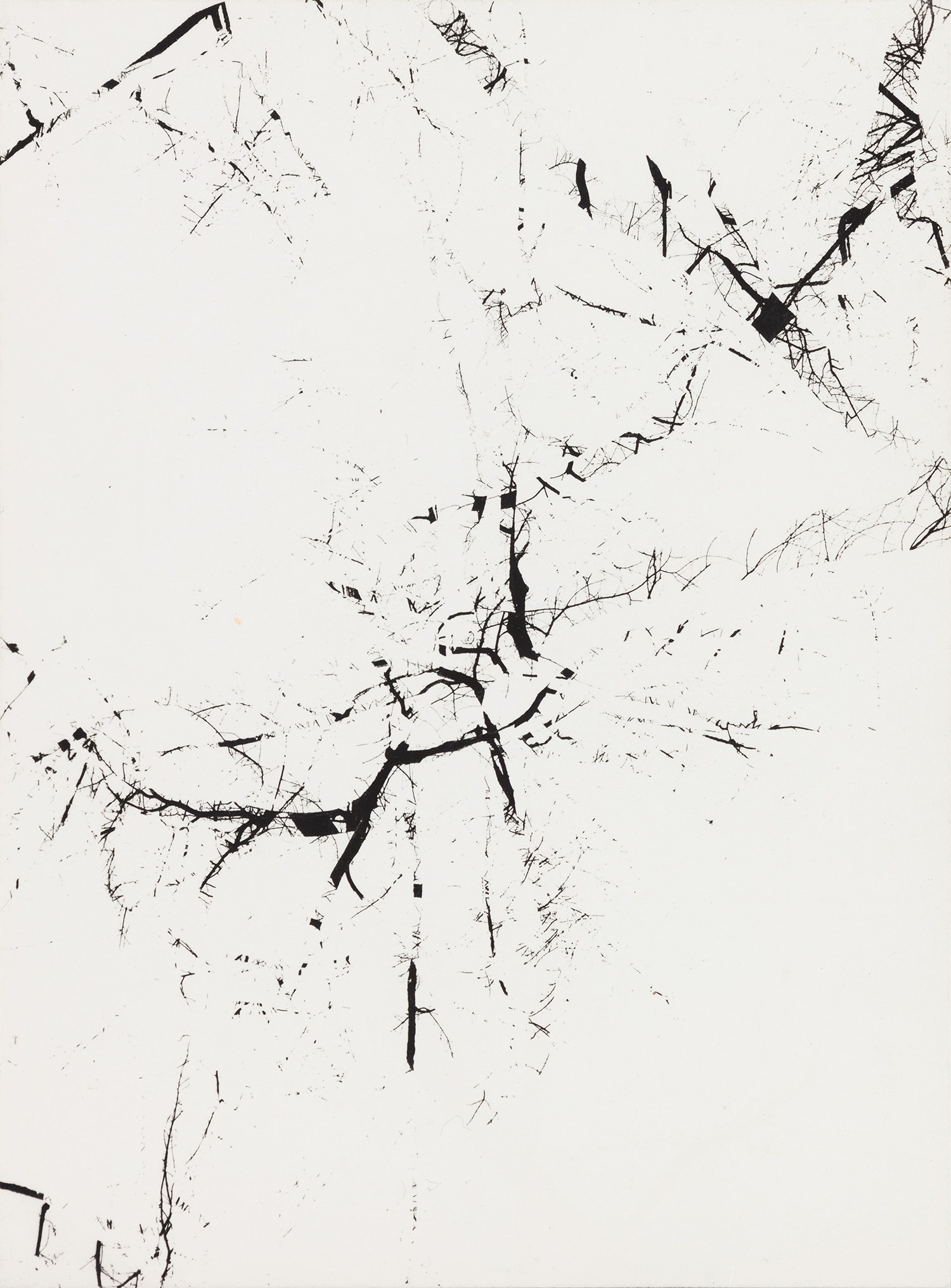 Harry Callahan — Michigan (tree abstraction, multiple exposure)