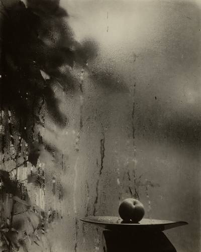Window of My Studio (apple on plate)