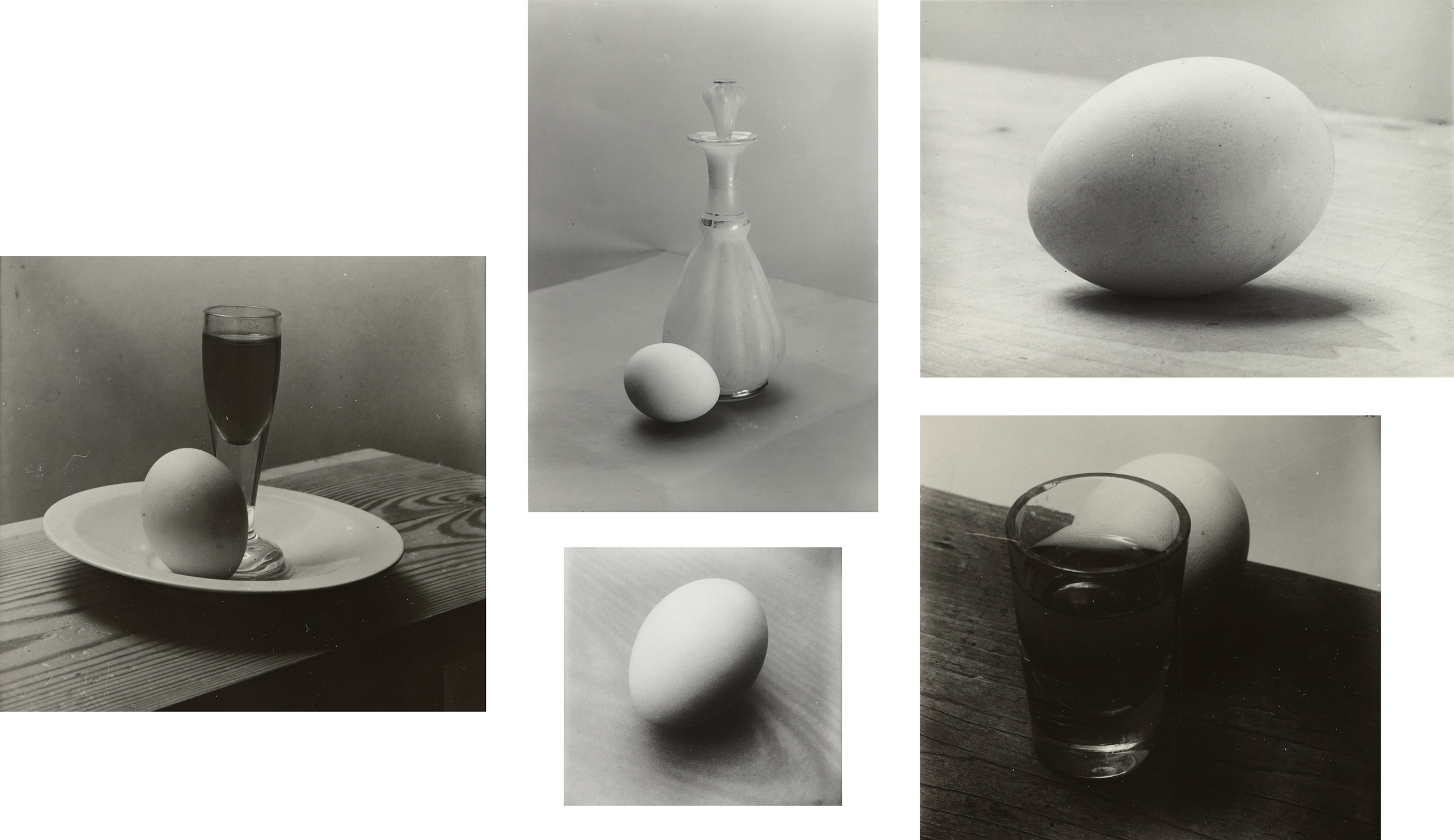 Selected Still Life Studies of Eggs