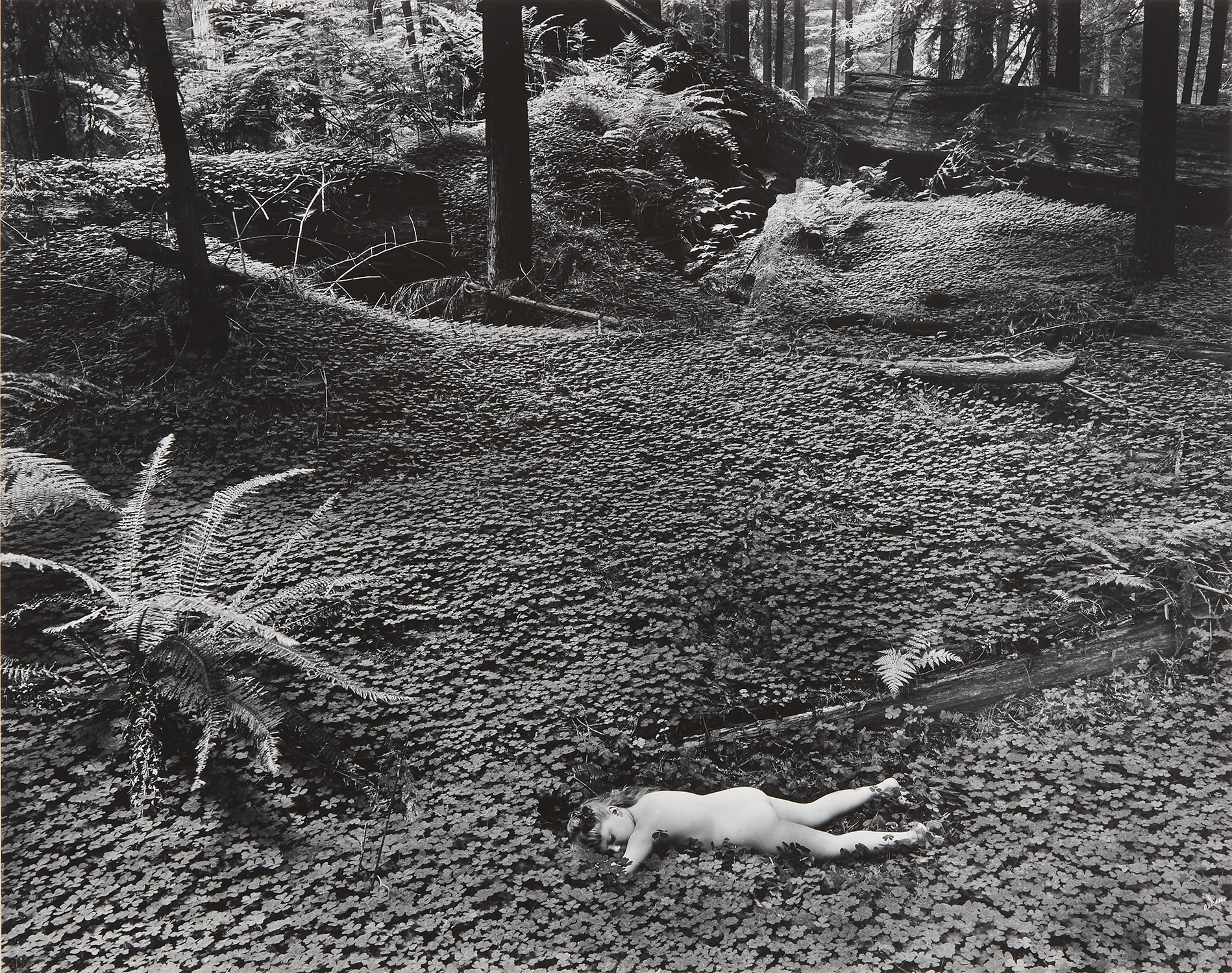 Wynn Bullock — Child in Forest