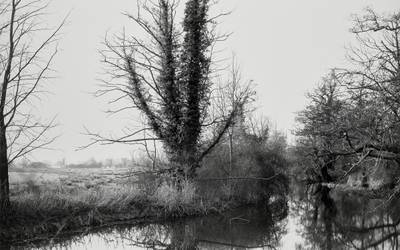 The River Stour from Deadman's Bridge near Flatford (Winter)