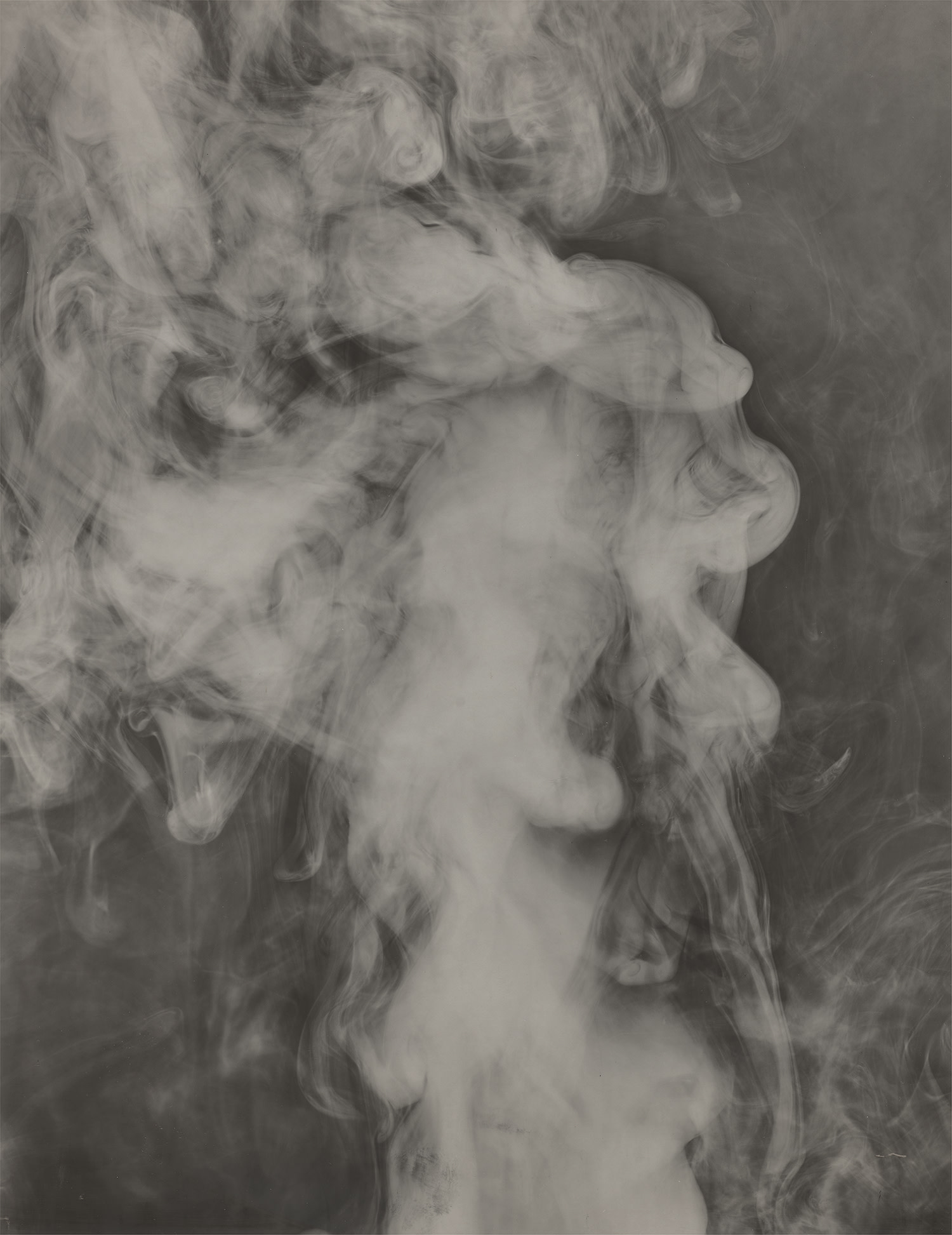 Adam Fuss — From the Series 'My Ghost'