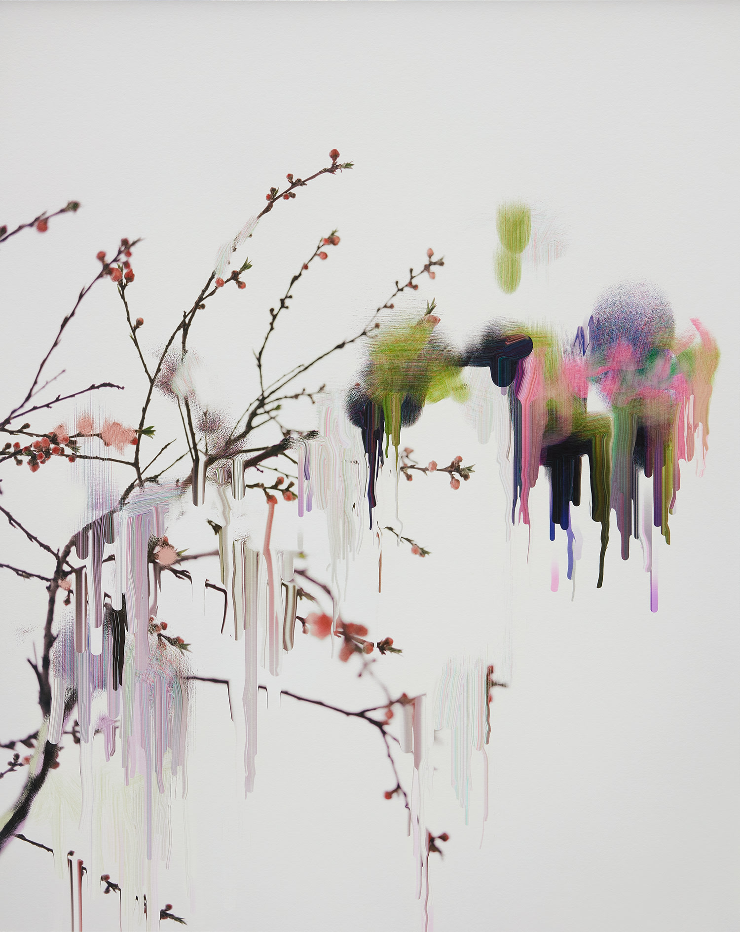 Sandra Kantanen — Sandra Kantanen