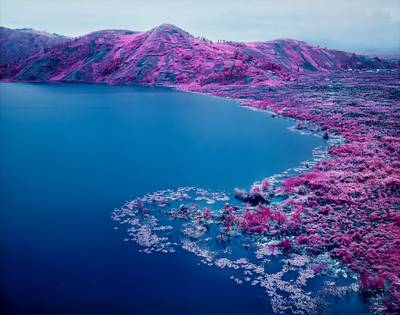 Richard Mosse