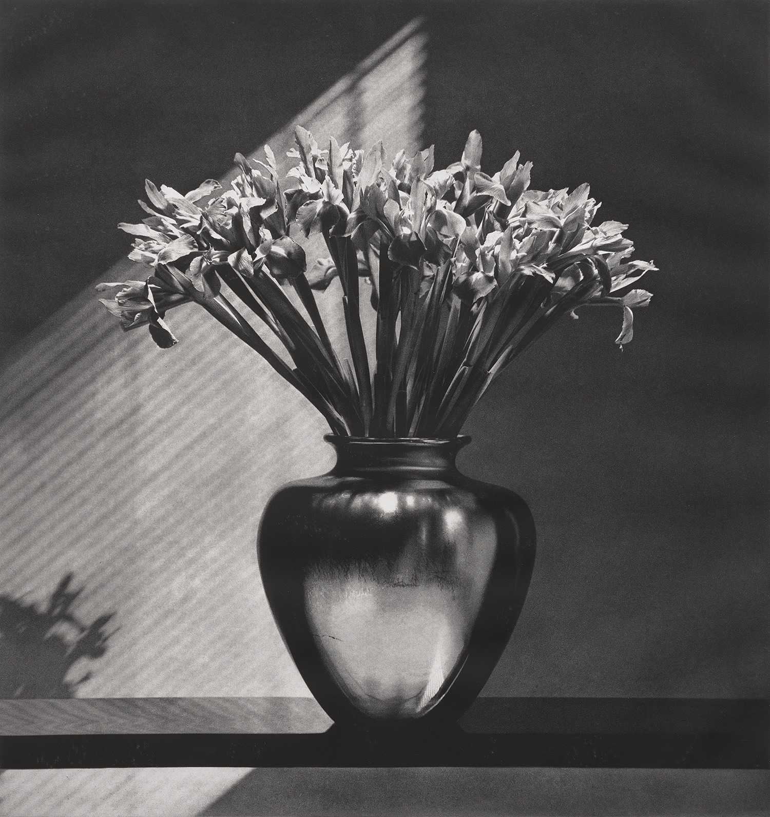 Robert Mapplethorpe — Irises