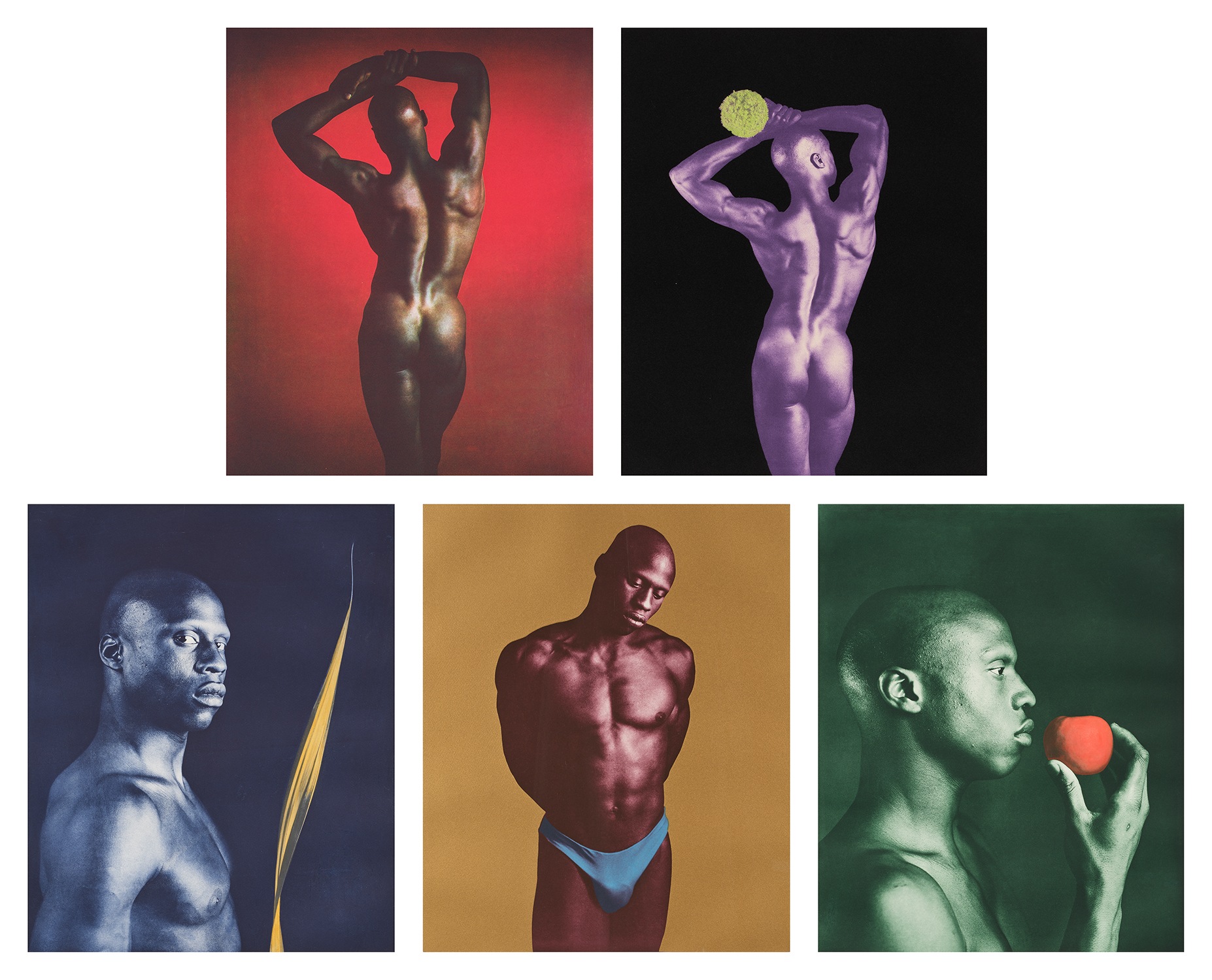 Robert Mapplethorpe — Ken Moody Portfolio