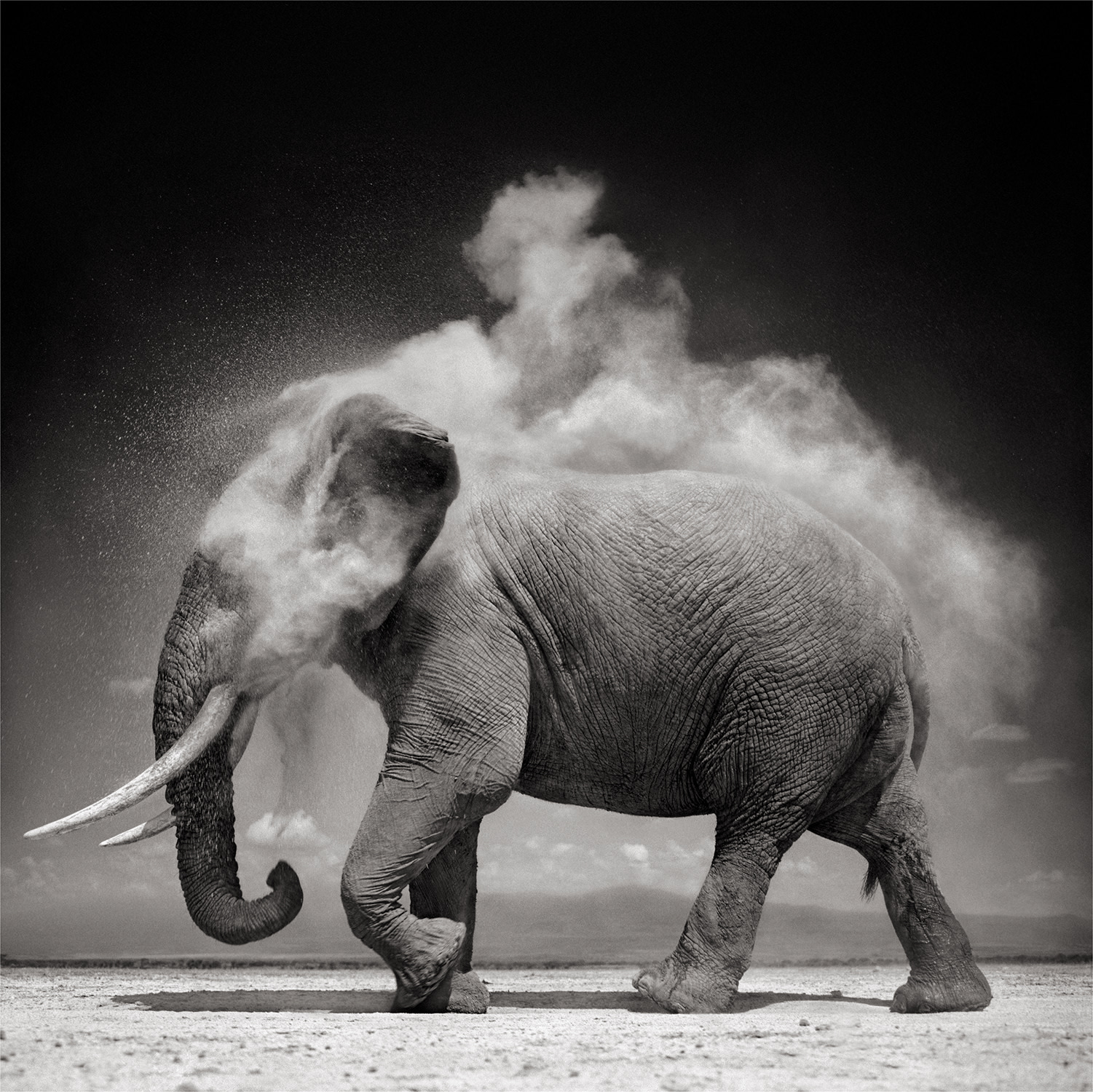 Nick Brandt — Elephant with Exploding Dust, Amboseli