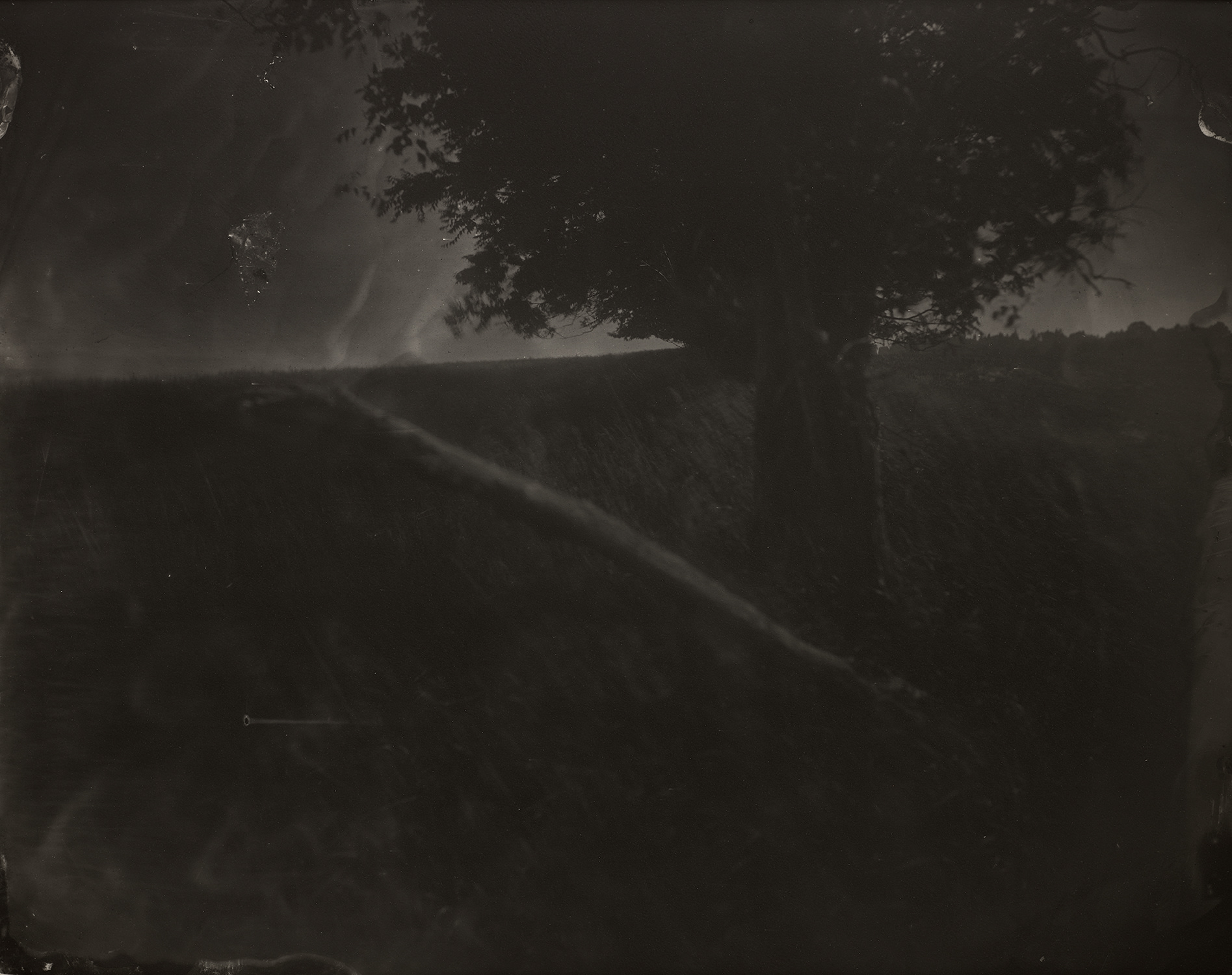 Sally Mann
