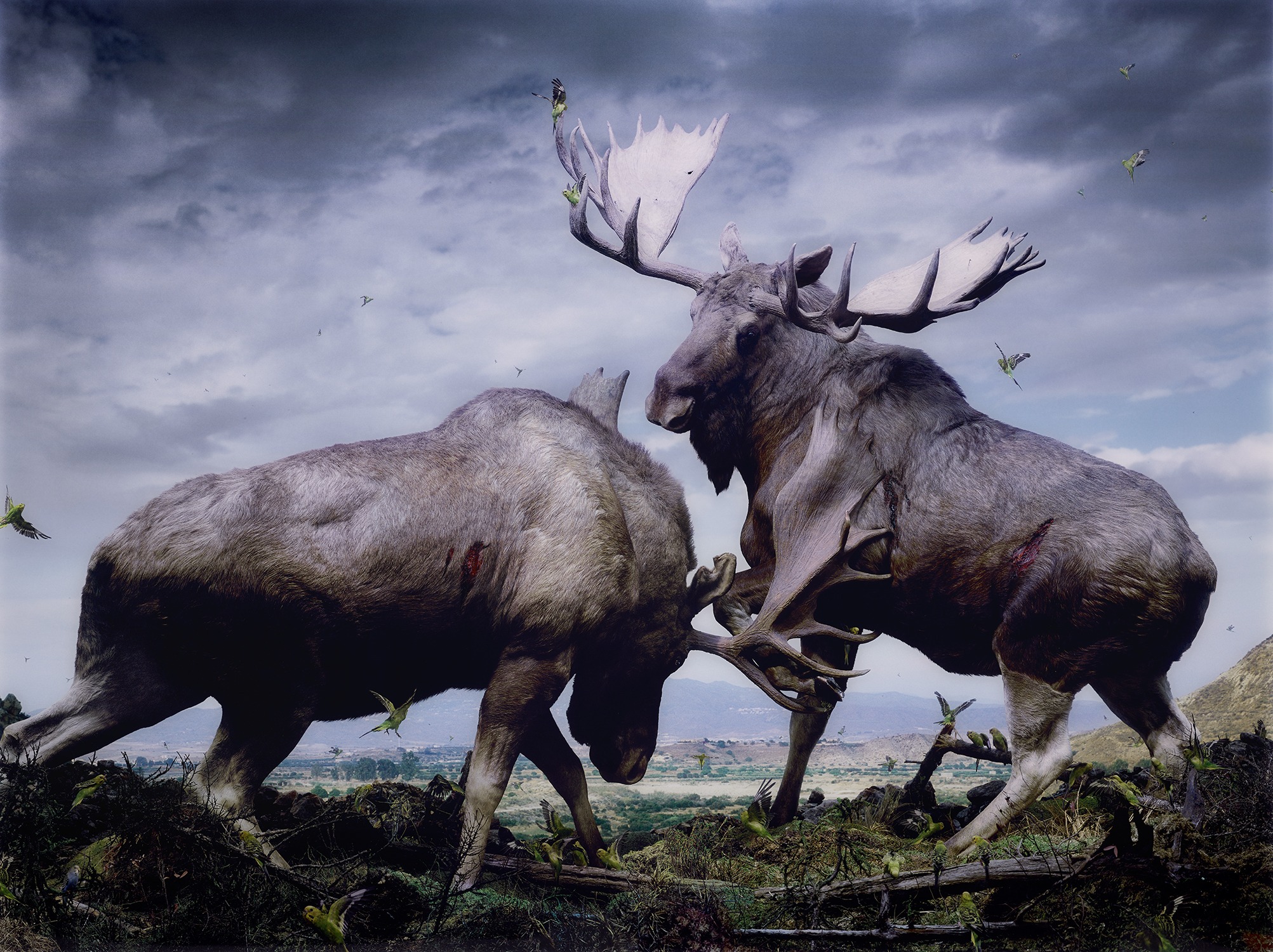 Simen Johan — Simen Johan