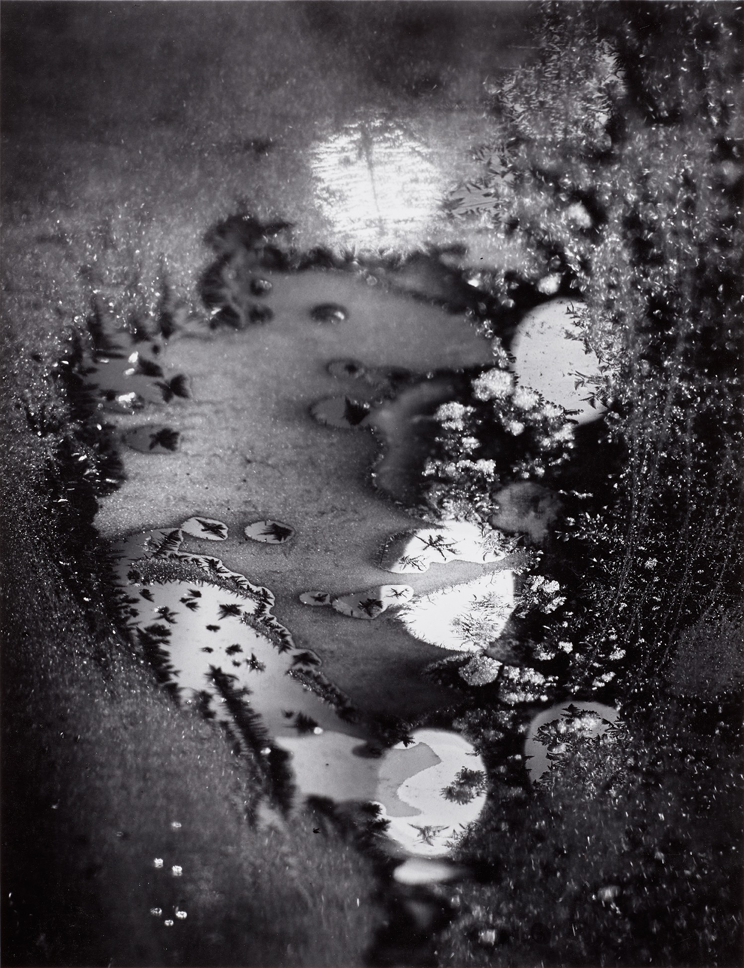 Minor White — Beginnings, Frosted Window, Rochester