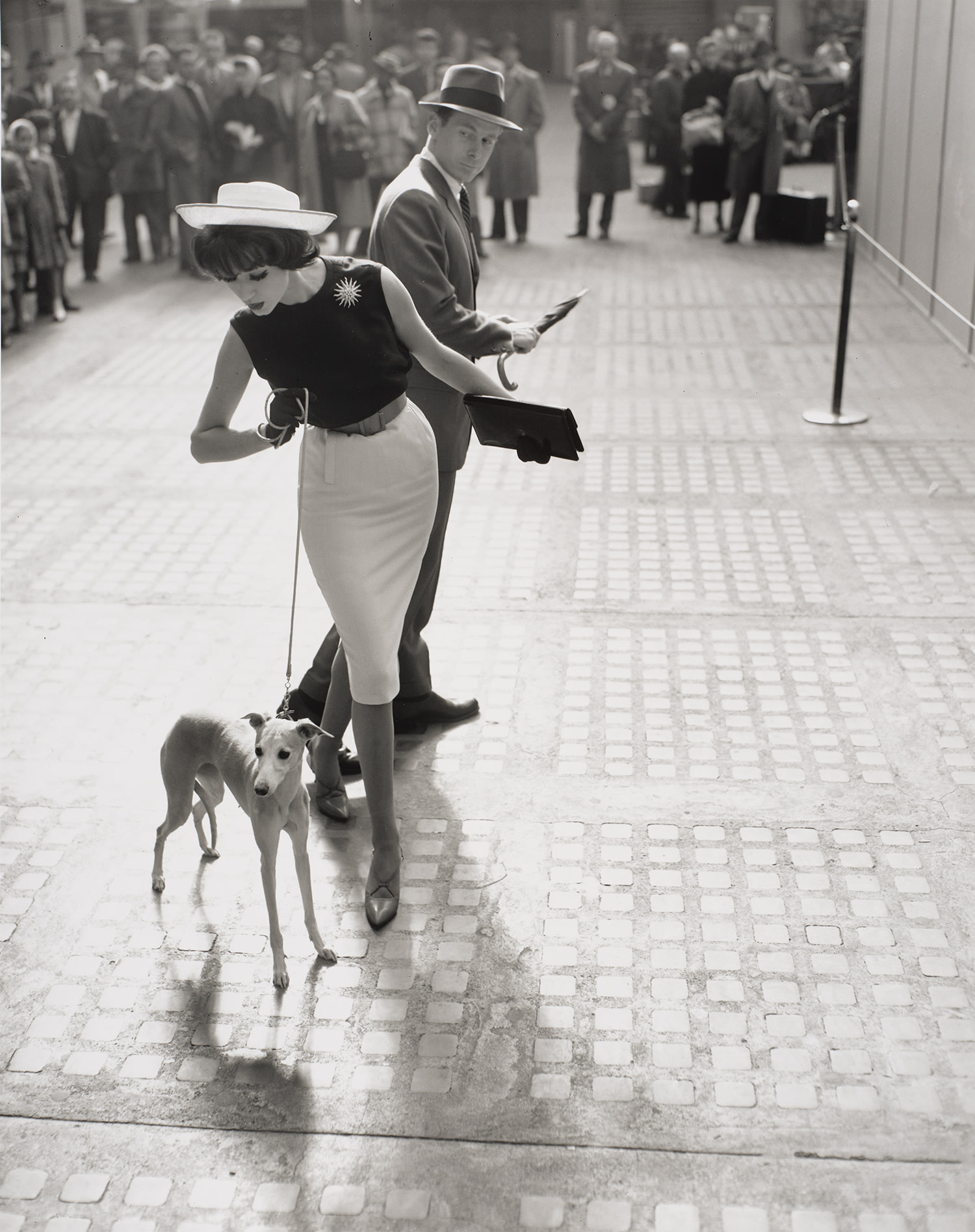 Simone D'Aillencourt with Whippet, Penn Station