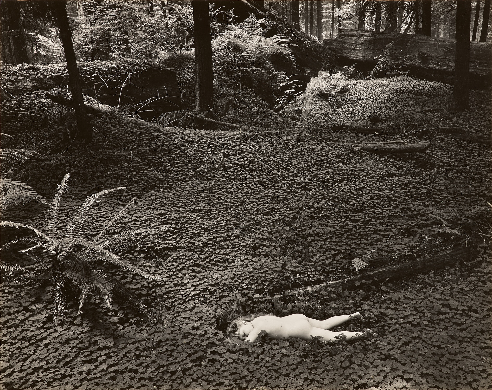 Wynn Bullock — Child in the Forest