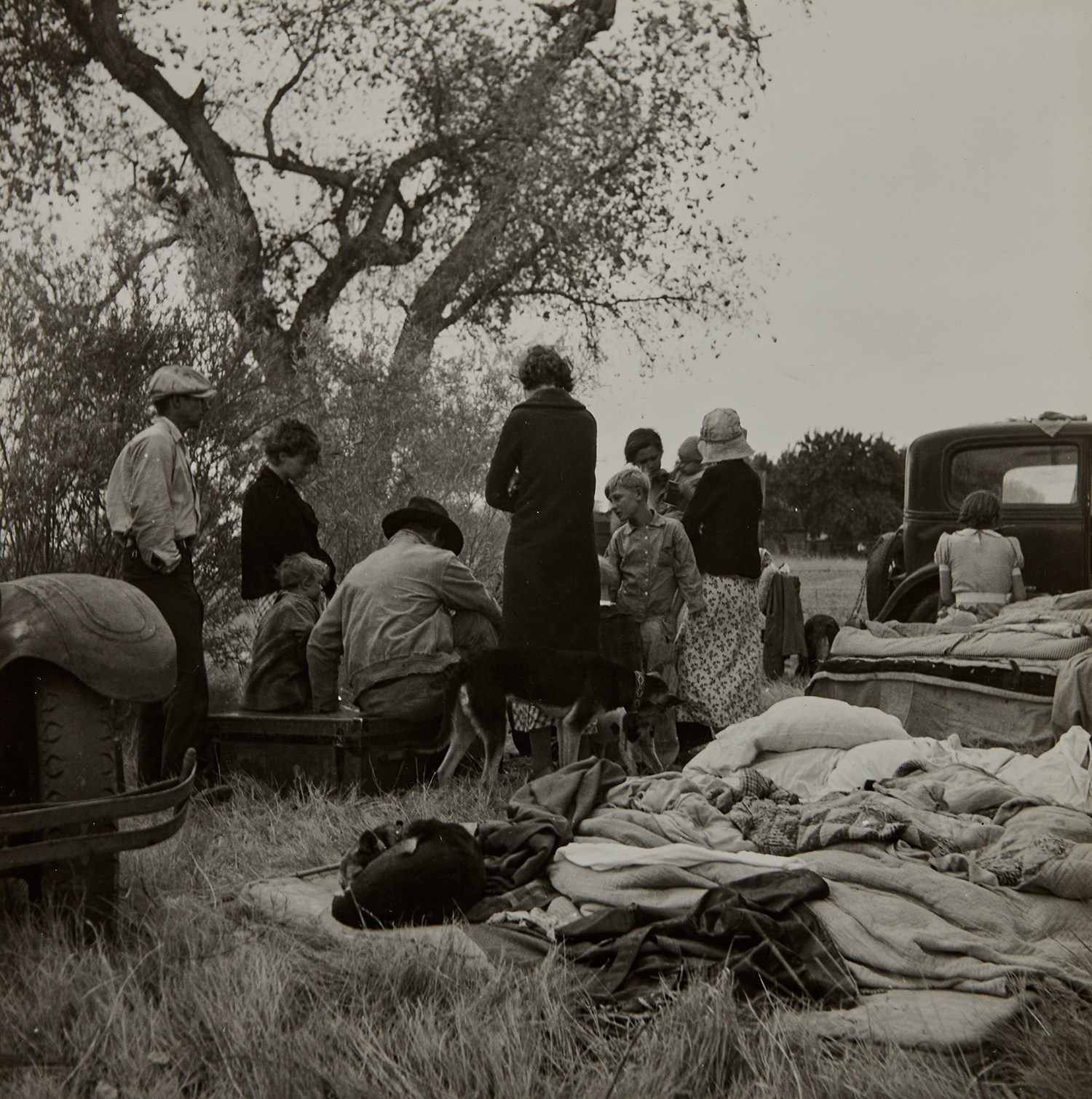 Dorothea Lange — Squatters along Highway near Bakersfield, California