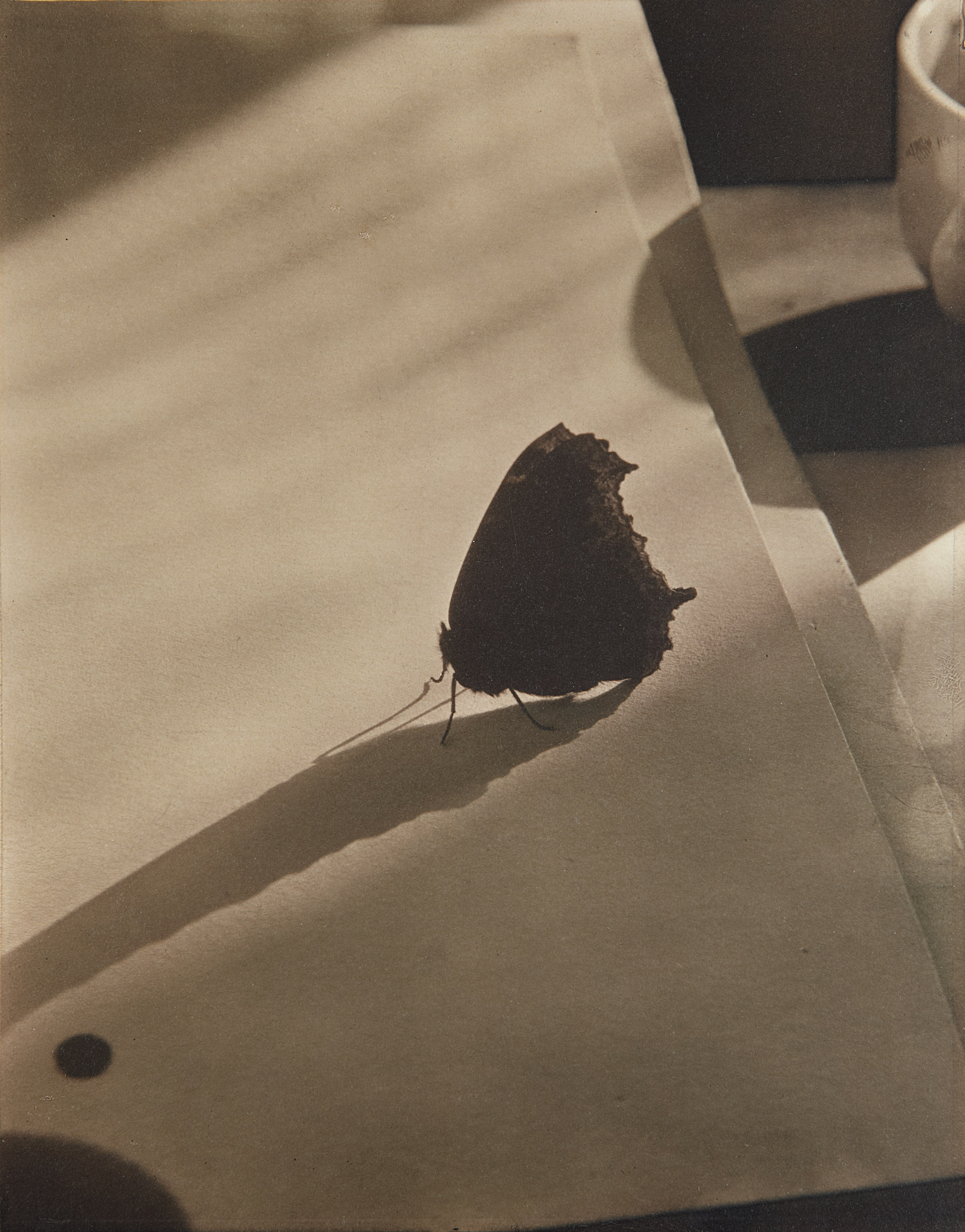 Edward Steichen — Diagram of Doom - 2