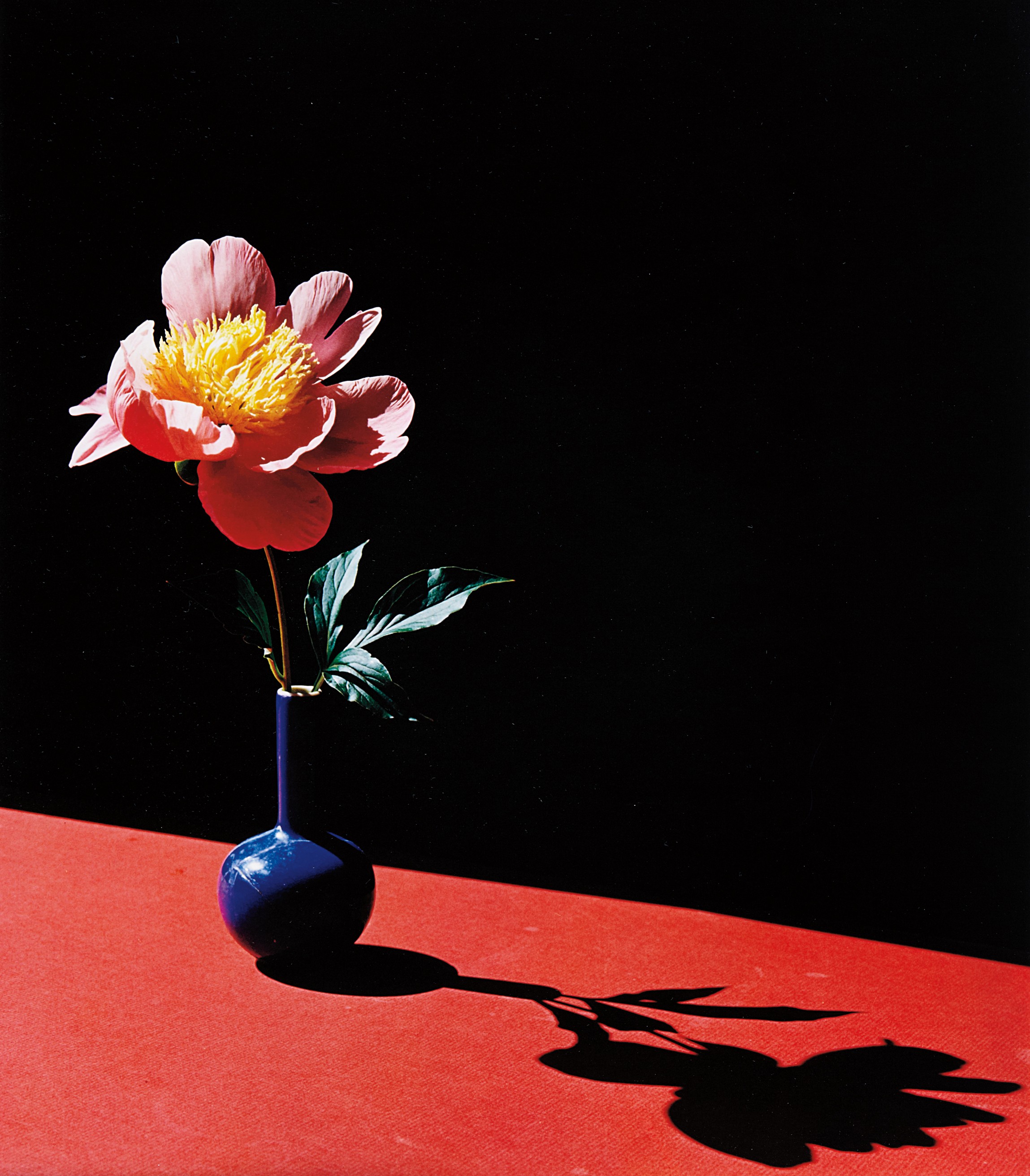 Horst P. Horst — Peony in Blue Vase