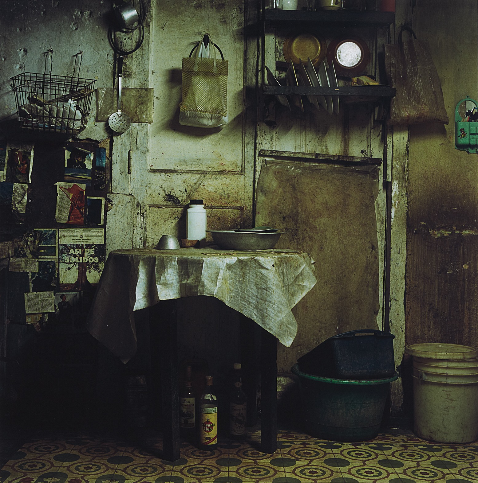 Desirée Dolron — Cerca Trocadero