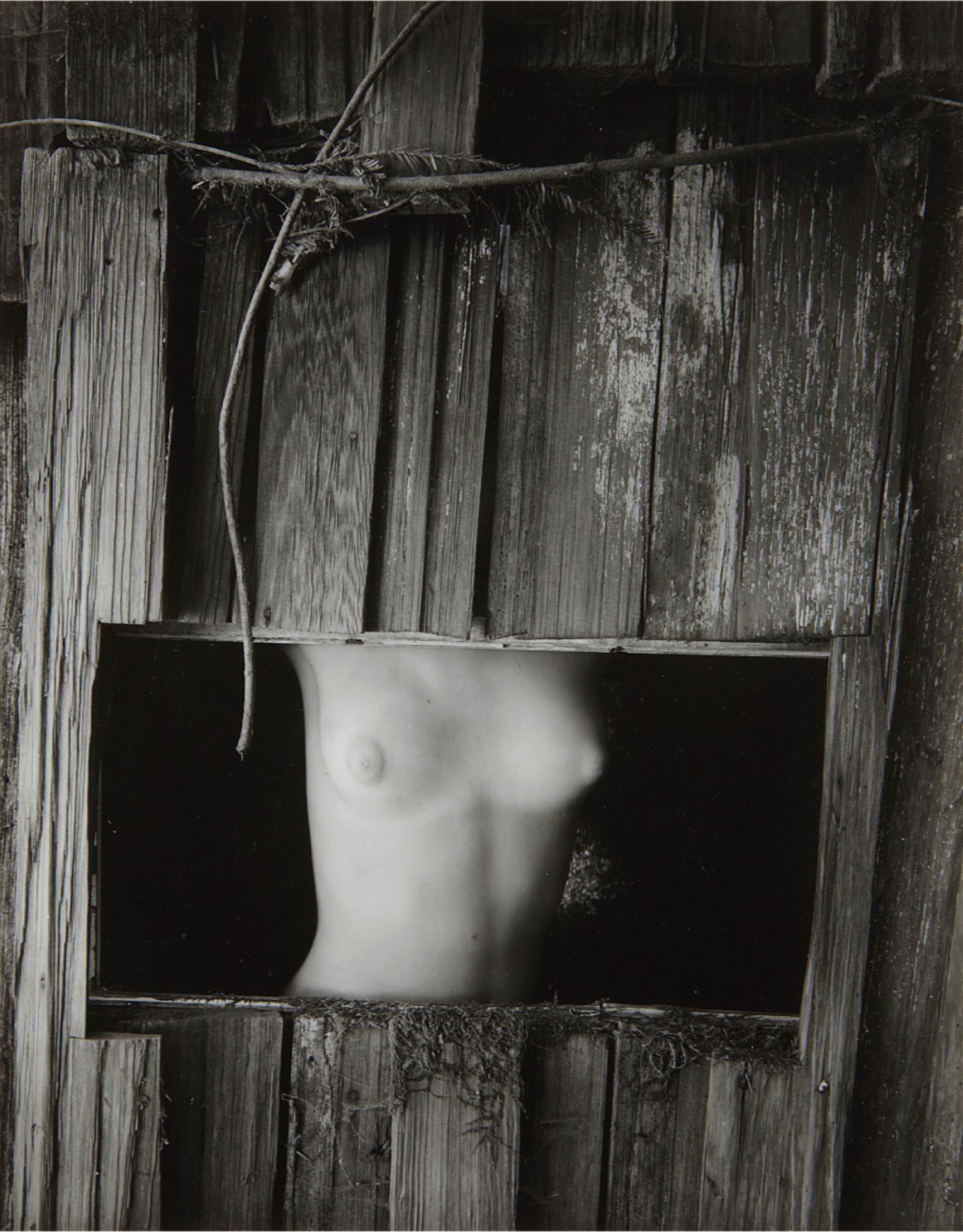 Wynn Bullock — Torso in Window