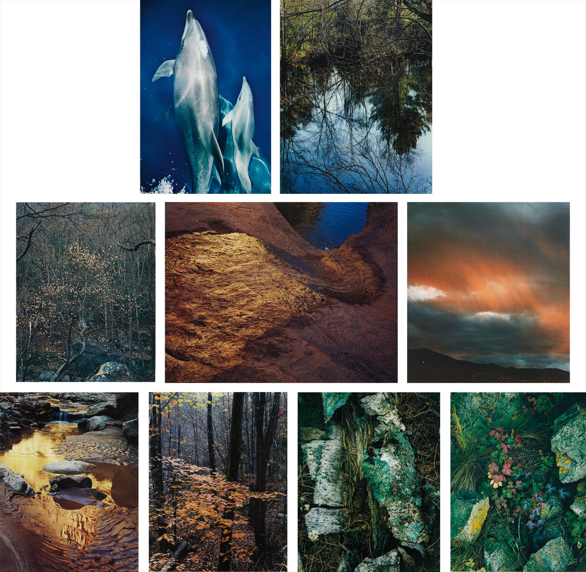 Eliot Porter — Selected Images