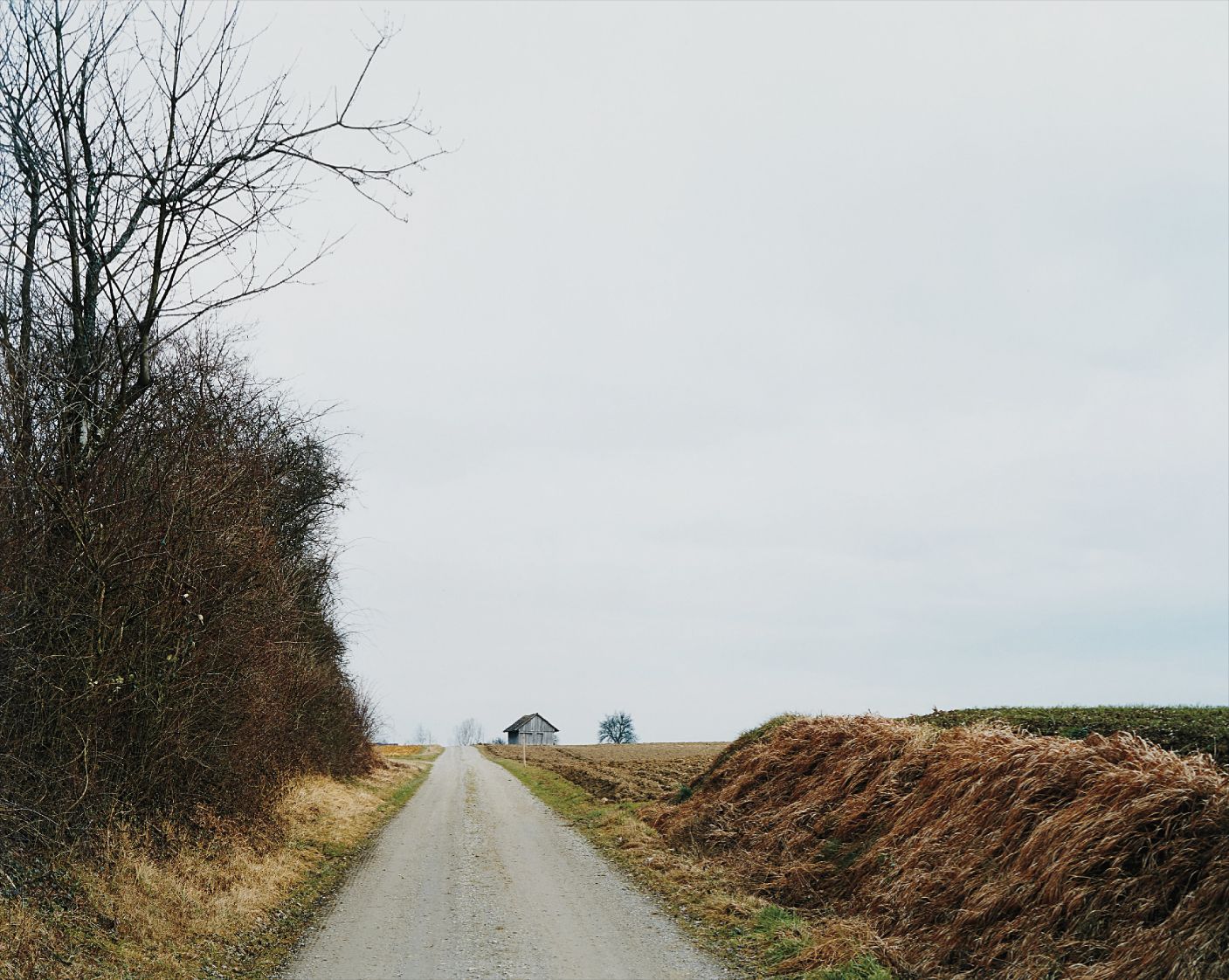 Thomas Struth — Feldweg mit Scheune bei Welsikon, Landschaft No. 28, Winterthur