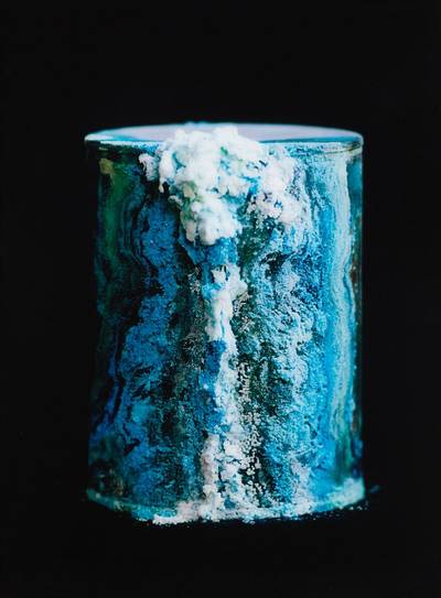 Library of Dust 1470