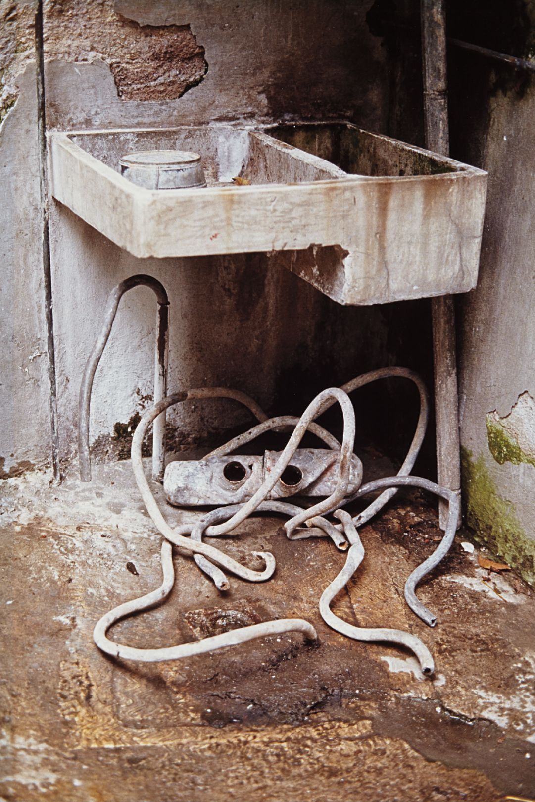 Gabriel Orozco — Octopus (Pulpo)