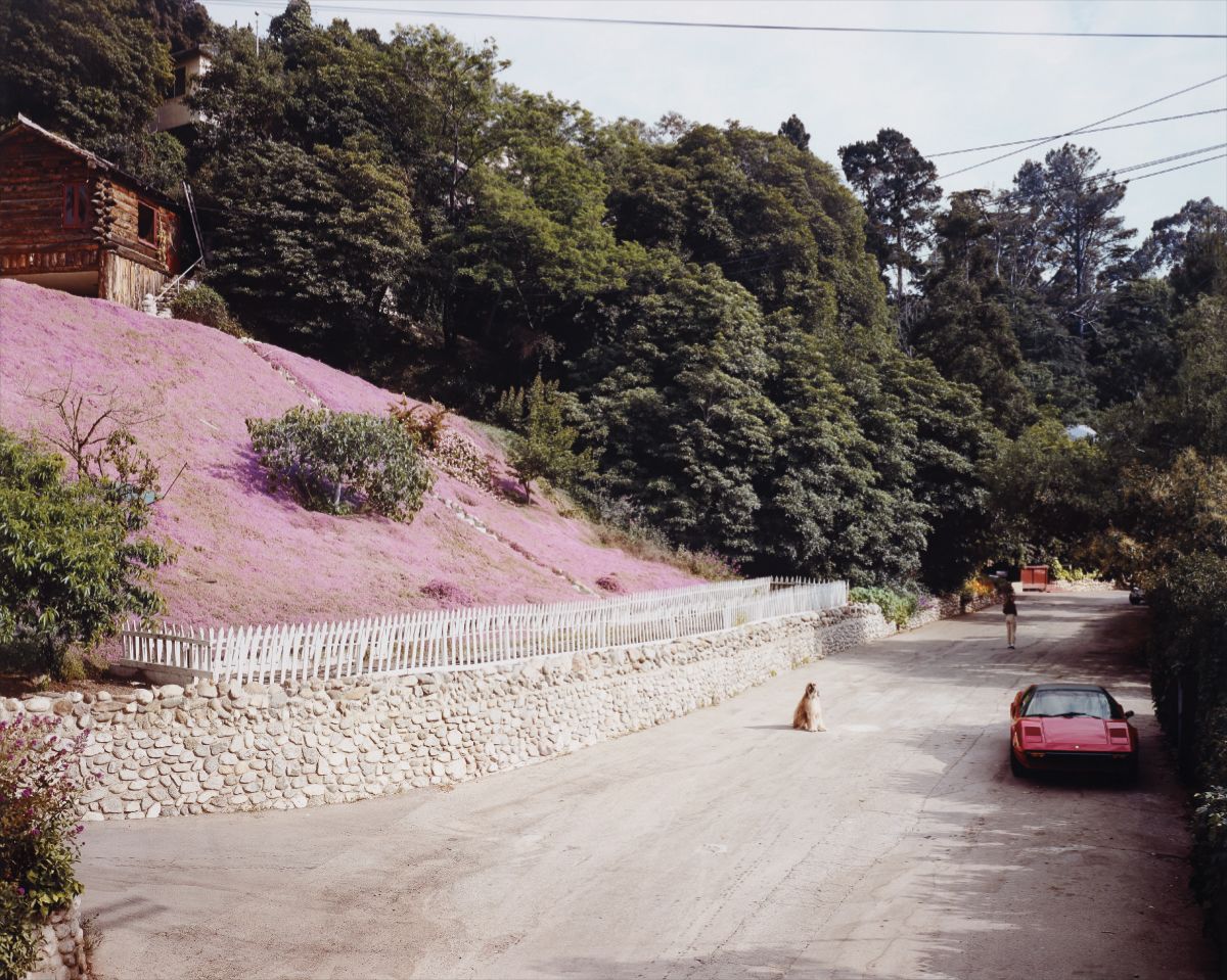 Rustic Canyon, Santa Monica, California, May