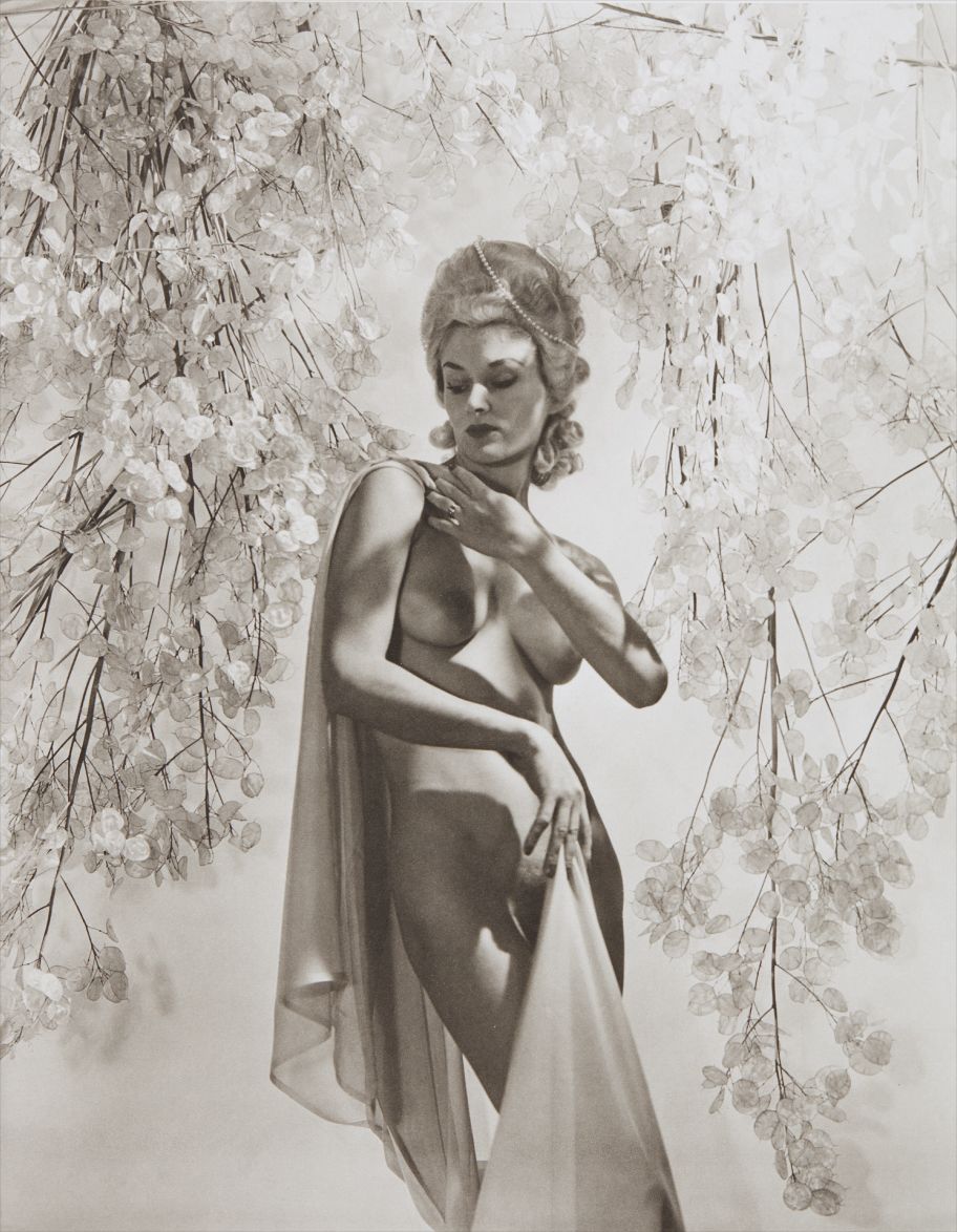 Horst P. Horst — Lisa: Money Tree II