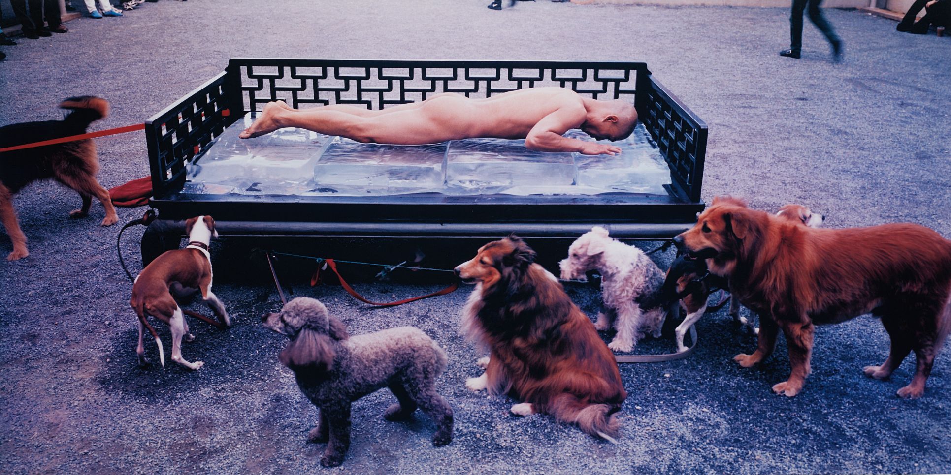 Pilgrimage - Wind and Water in New York