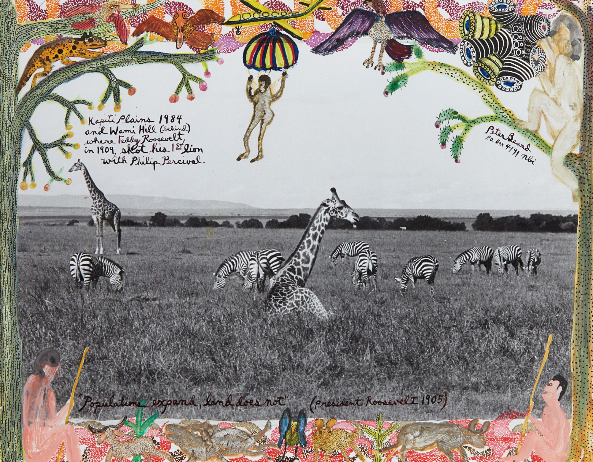 Peter Beard — Giraffes and Zebras