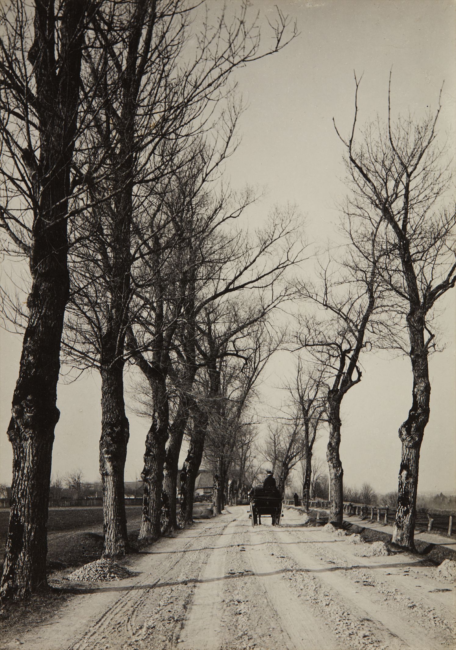Alfred Stieglitz — November Days