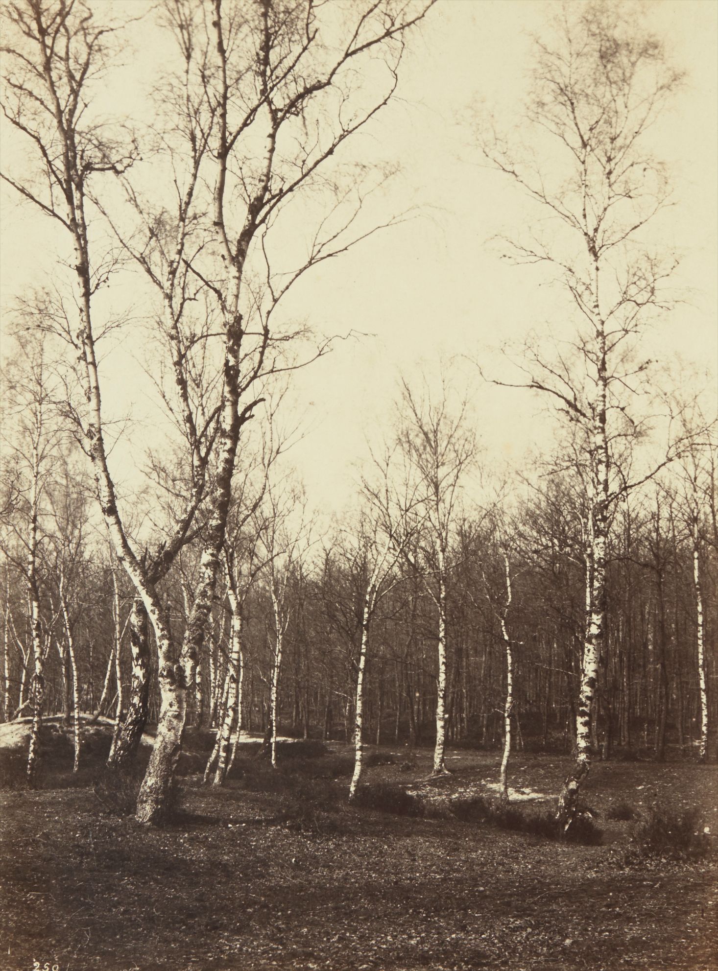 Jean de Paris, Fontainebleau