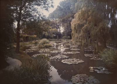 Étang des Nymphéas à Giverny