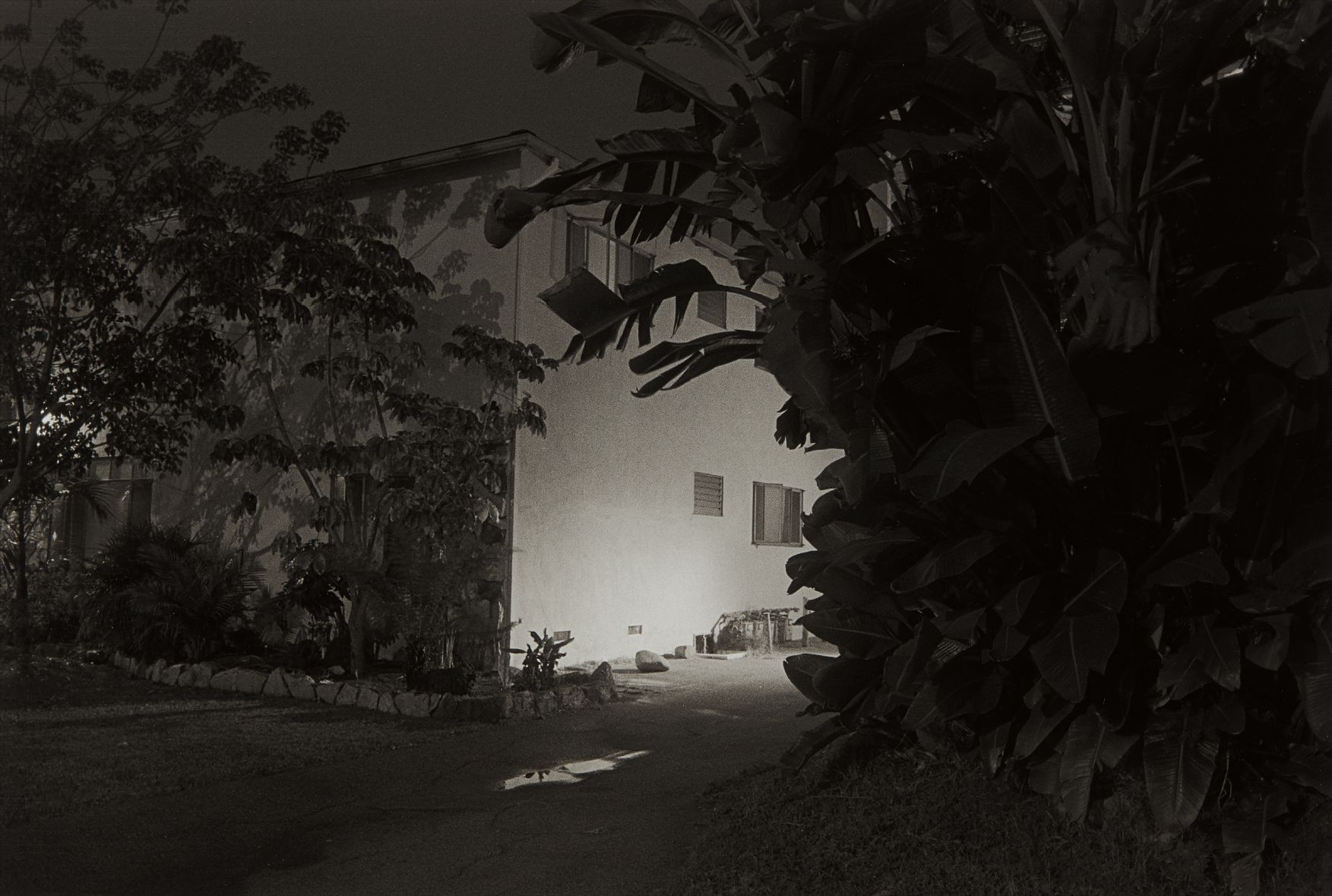 Night Walk, Los Angeles, No. 43