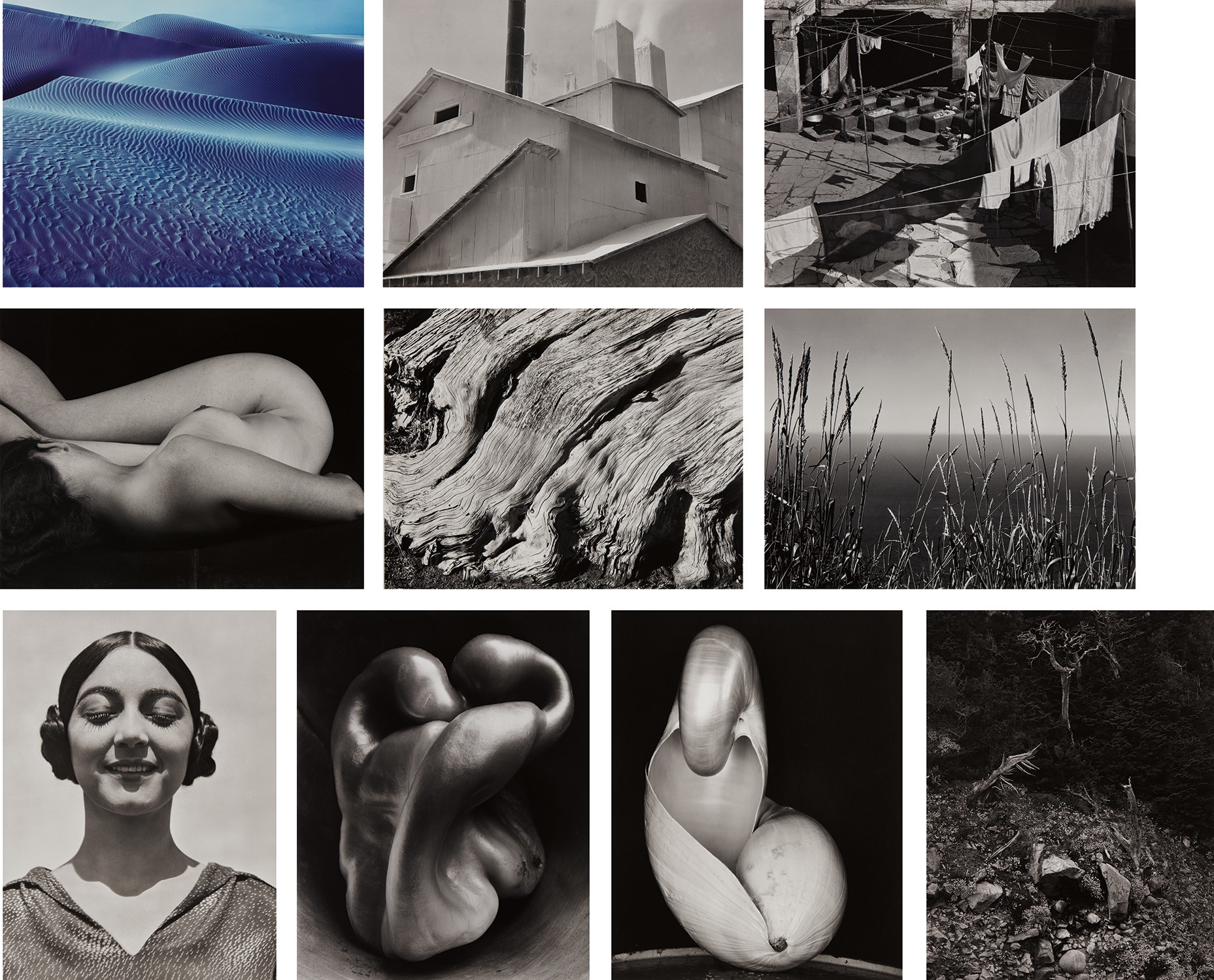 Edward Weston — The Edward Weston Portfolio