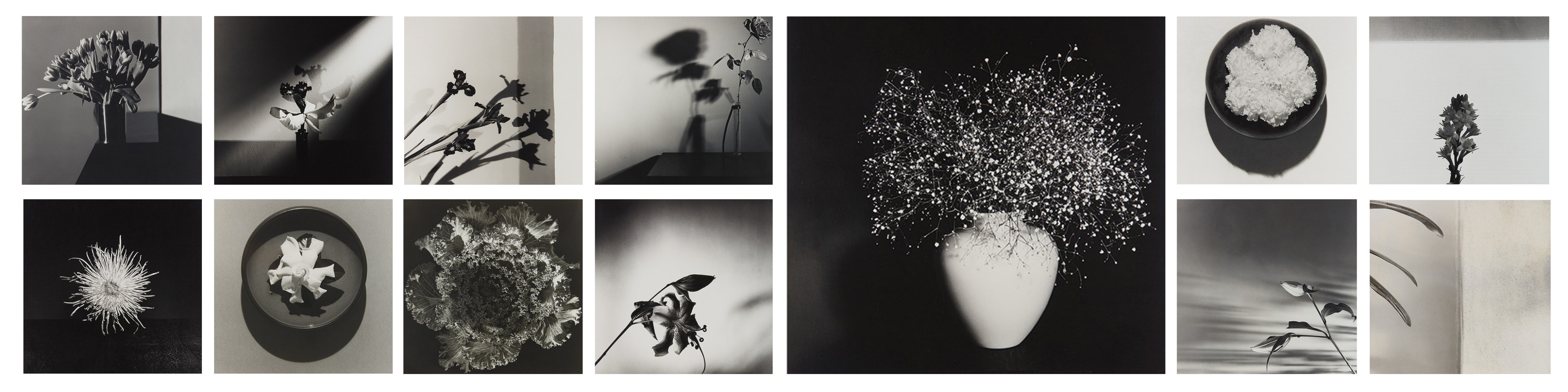 Robert Mapplethorpe — Y Portfolio