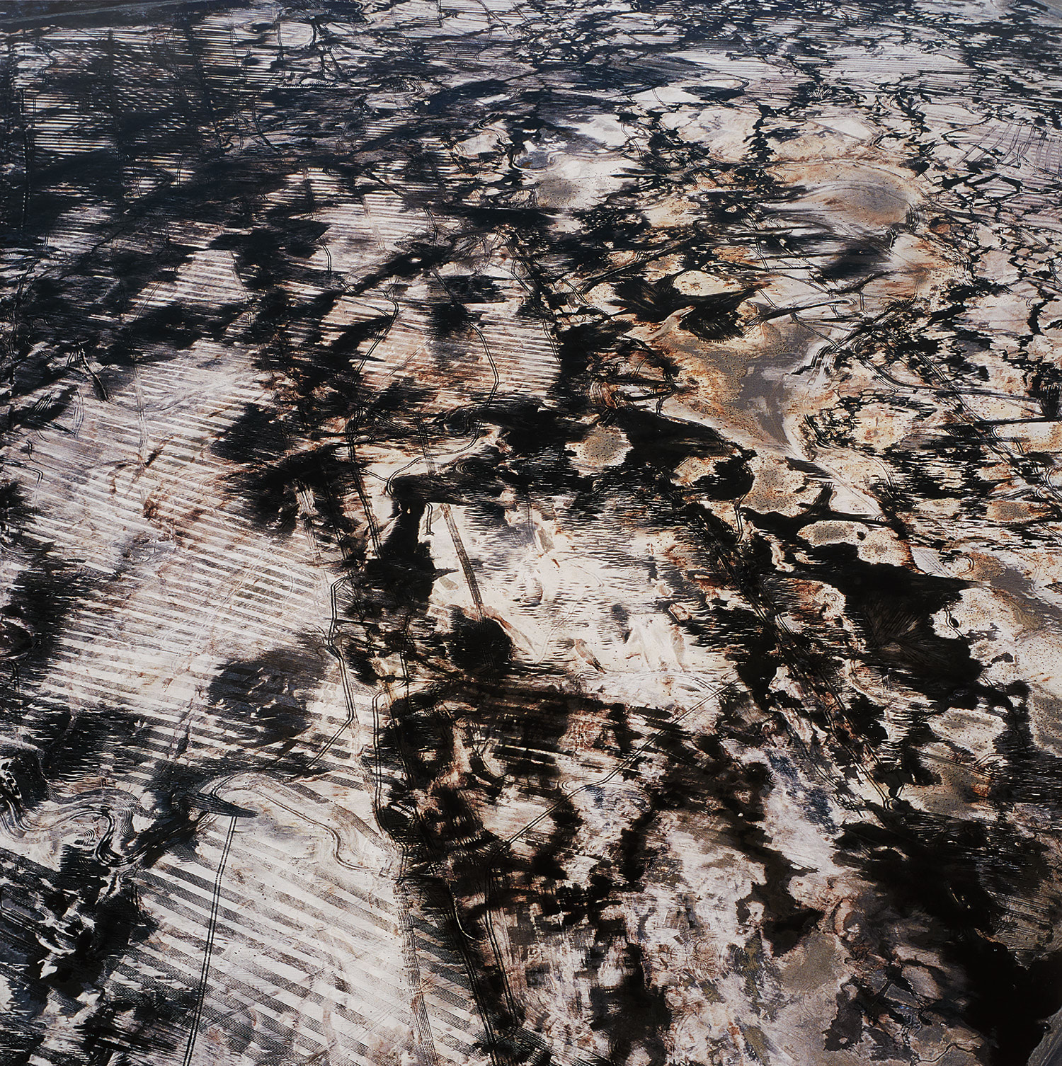 The Lake Project #9831-2