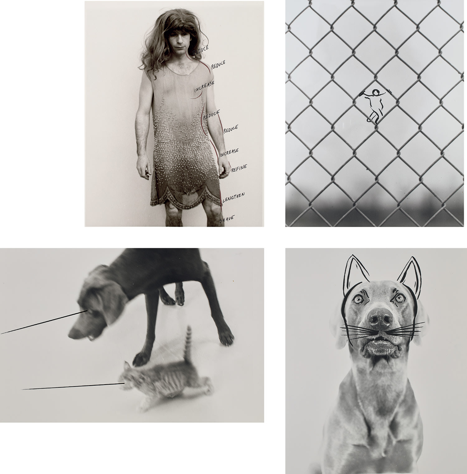 Improved Photographs