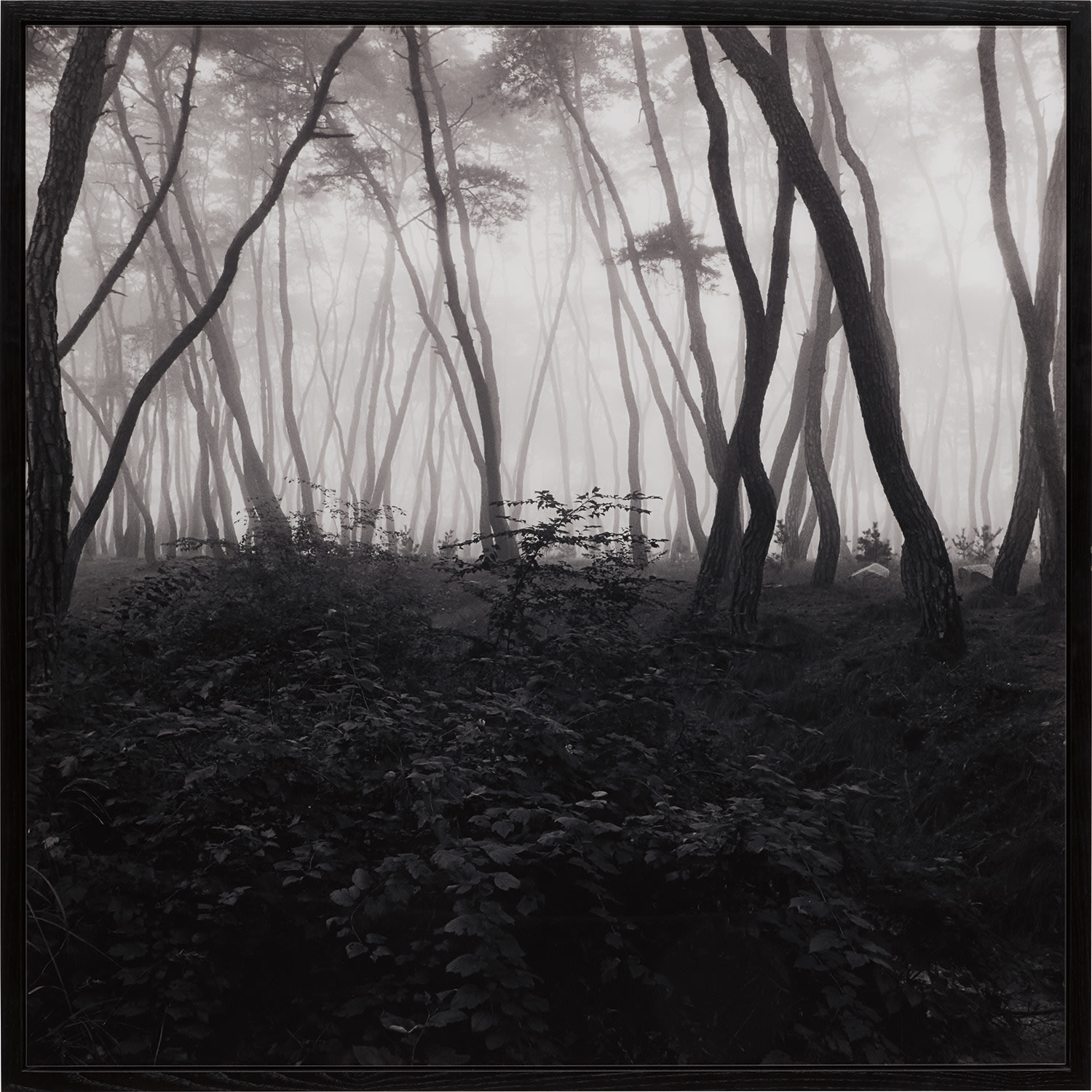 SNM3A-017 from Sonamoo