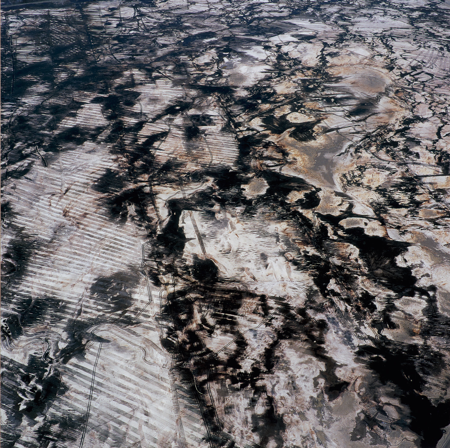 The Lake Project, #9831-2