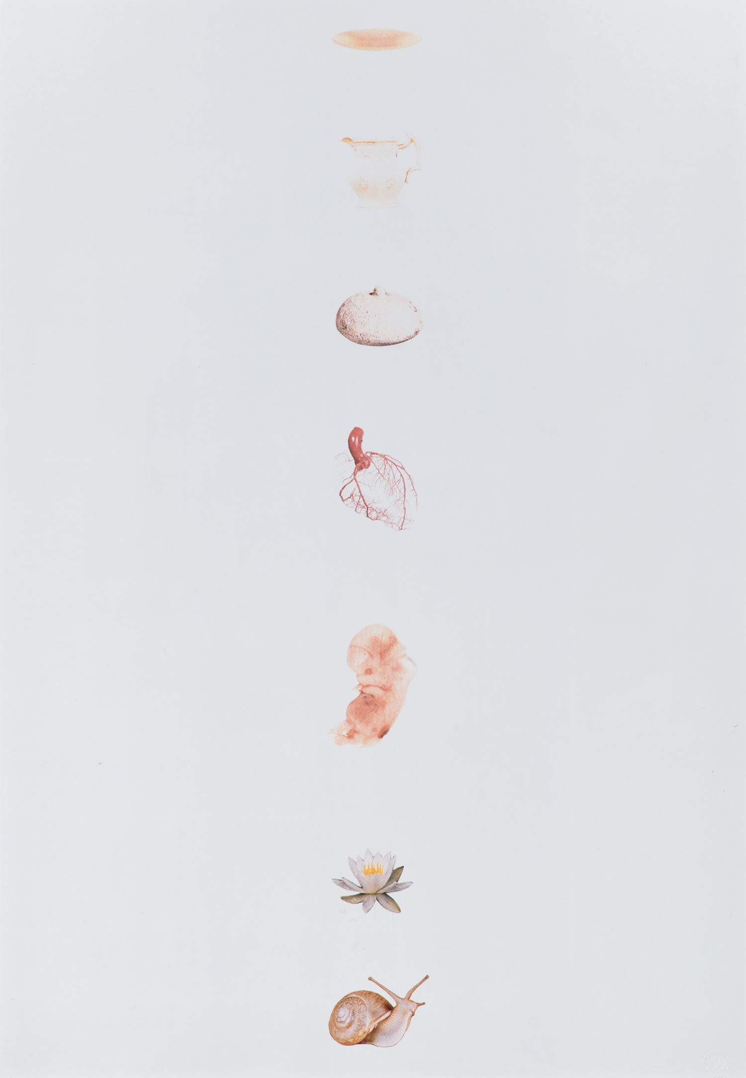 Subtle Body from Academy of Secrets