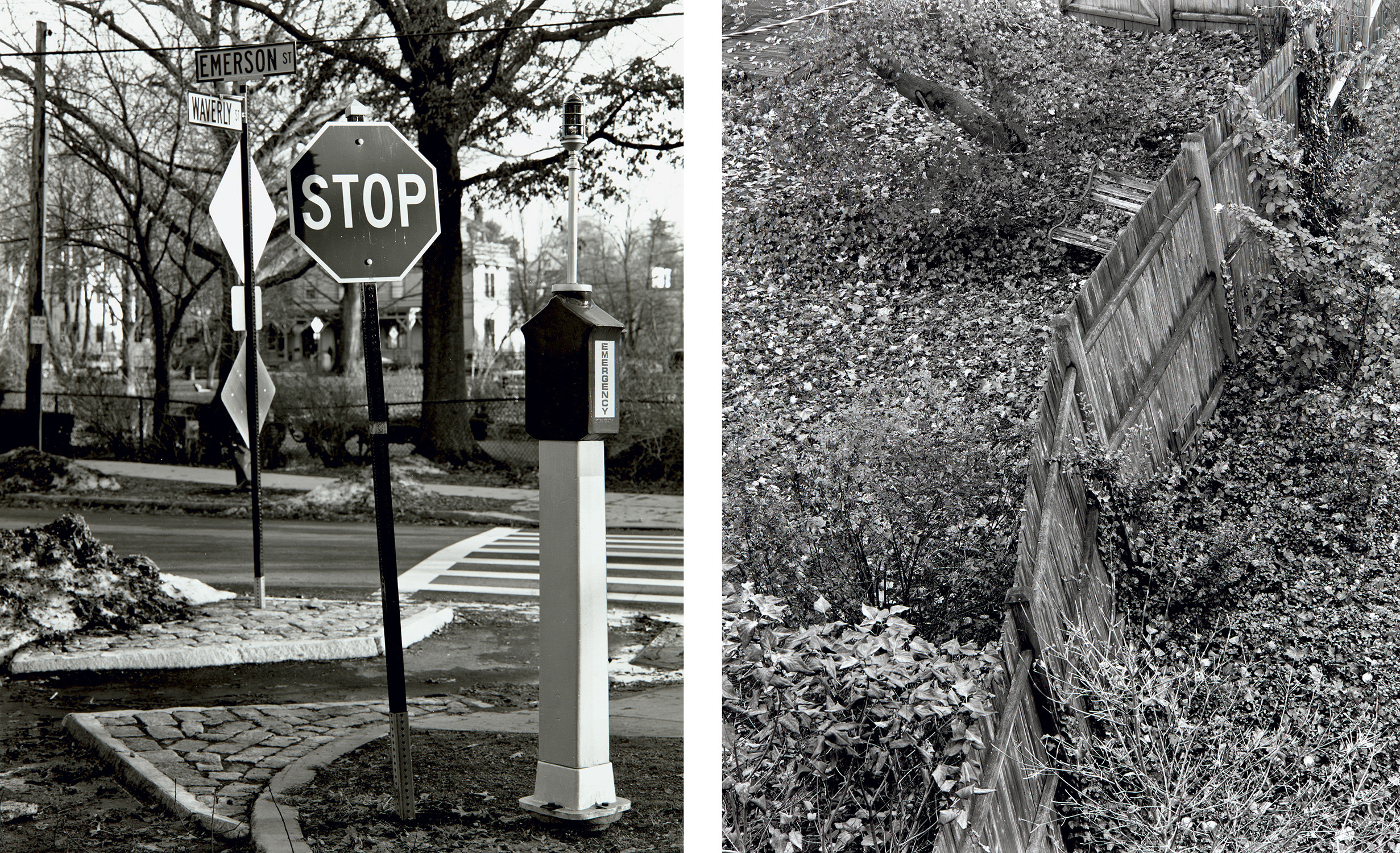 Waverly St., Brookline (3) and Brookline