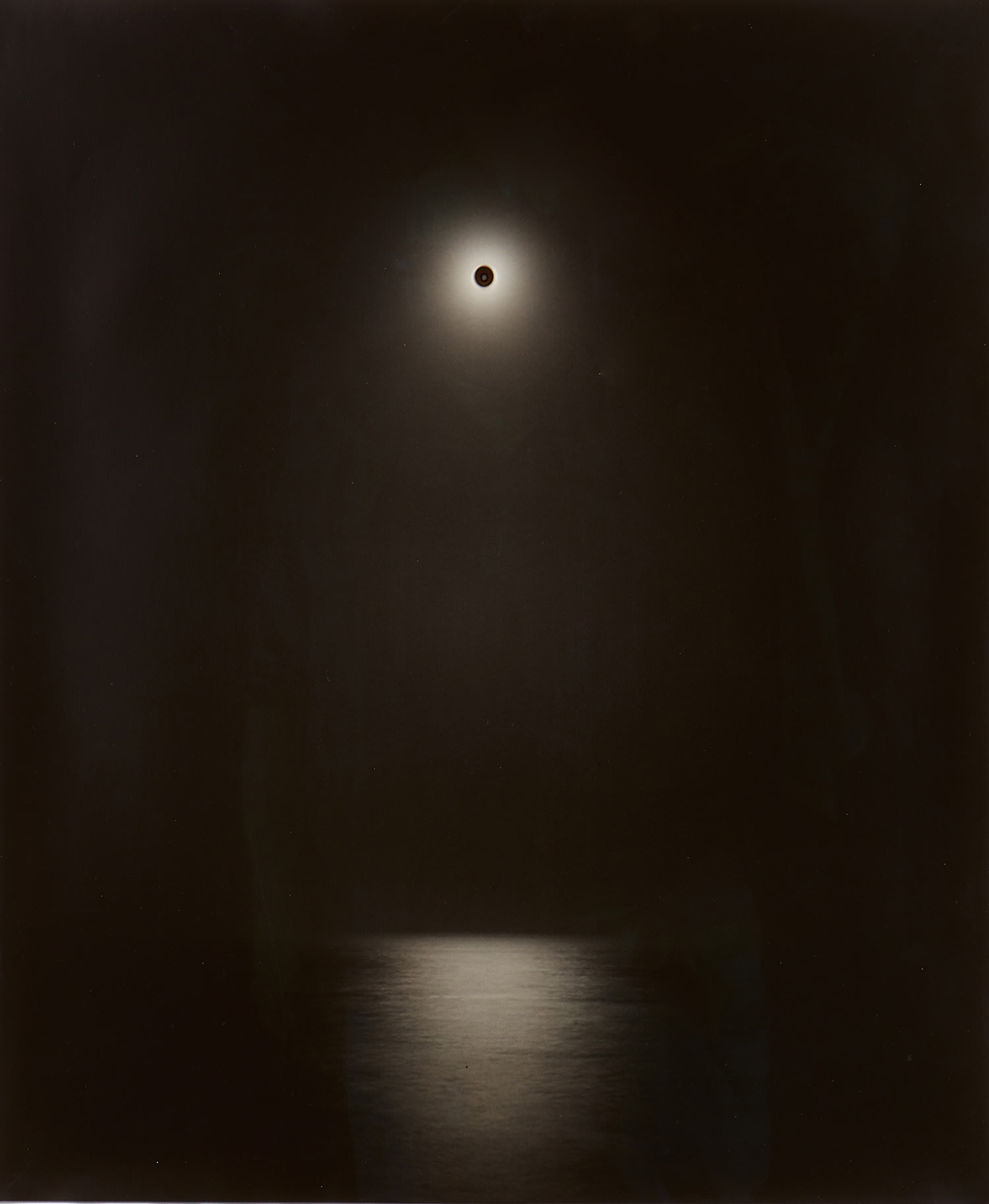 Sunburned GSP #589 (Pacific Ocean)