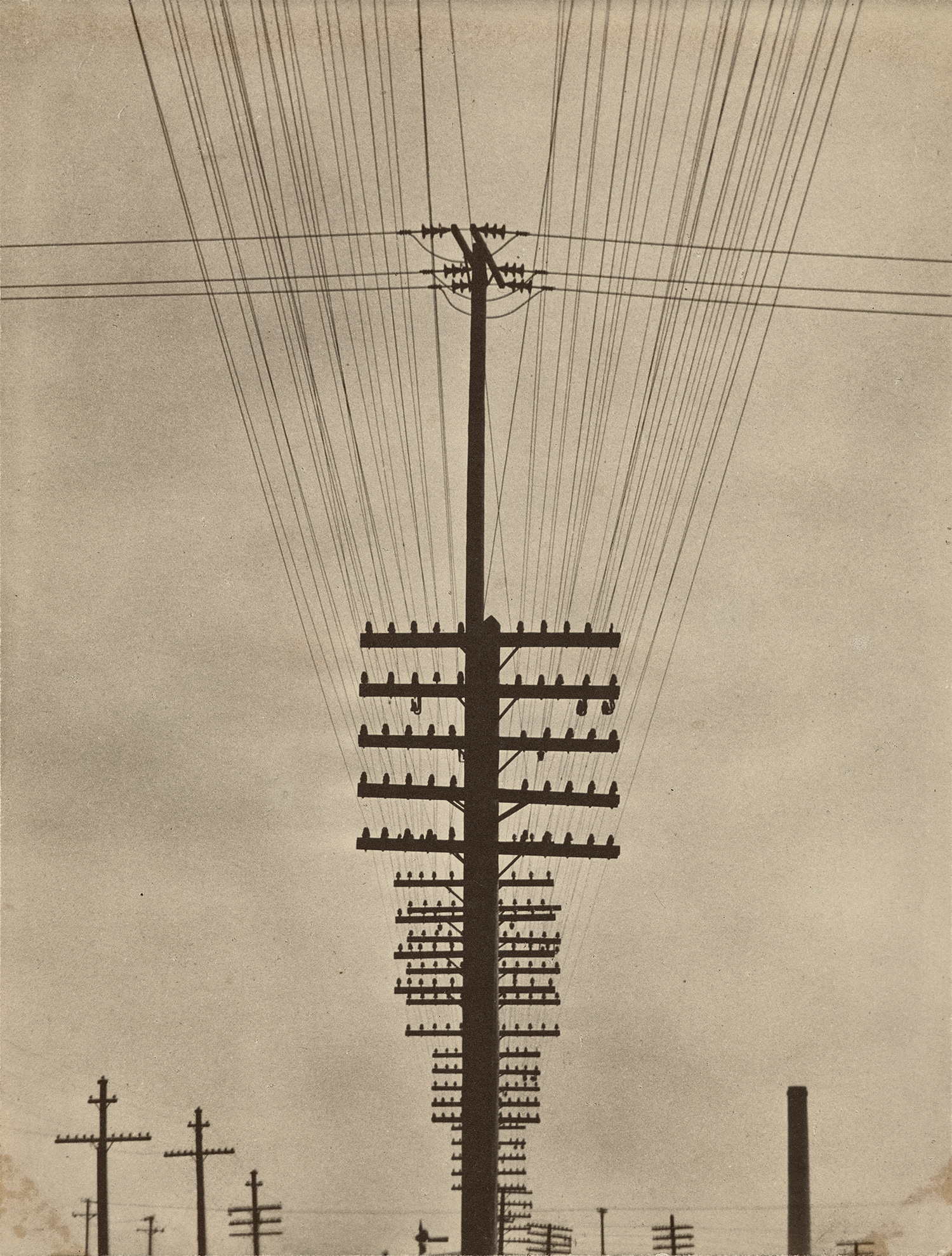 Telegraph Wires